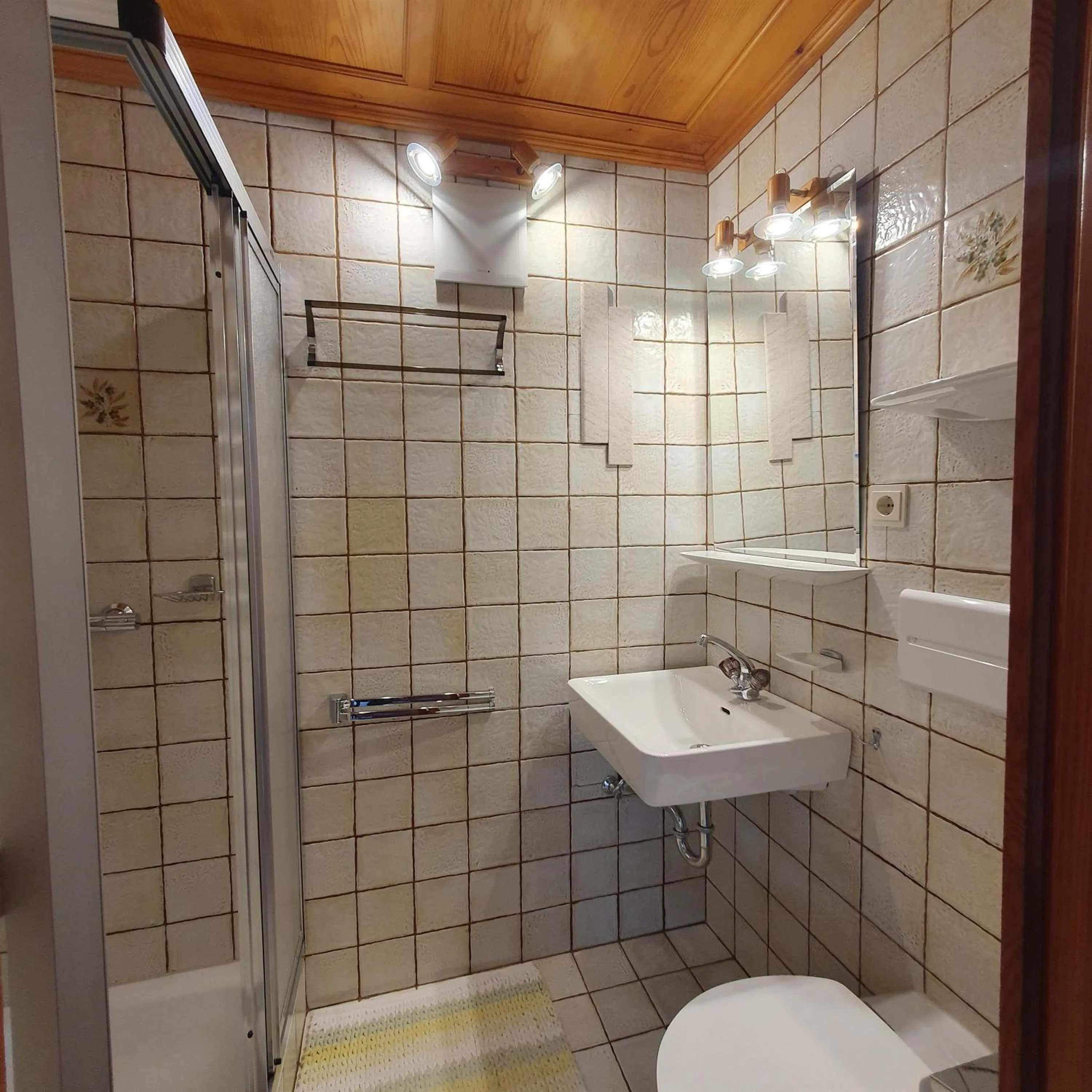 Shower in Haus Salzmann