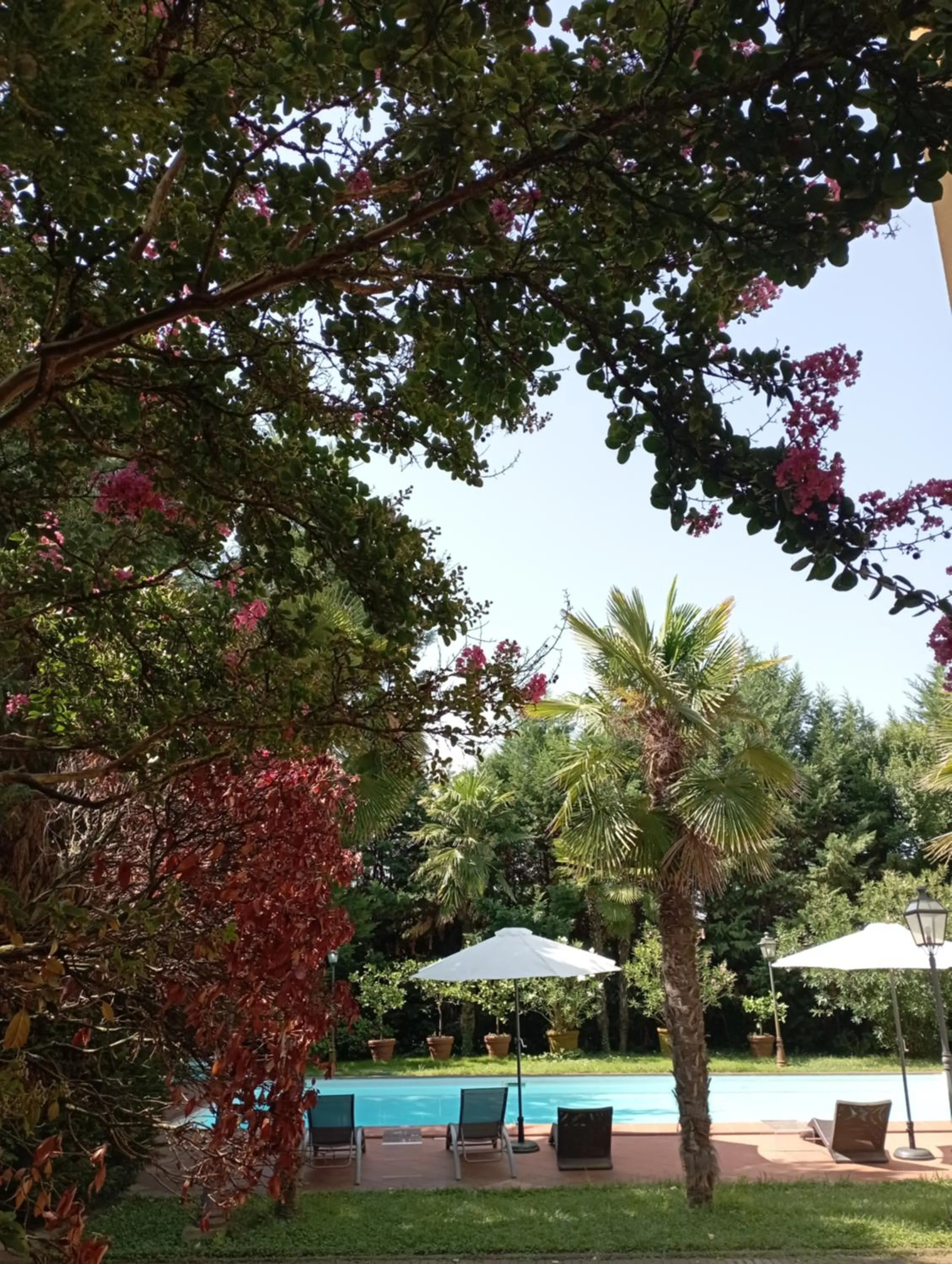 B&B Villa delle Palme