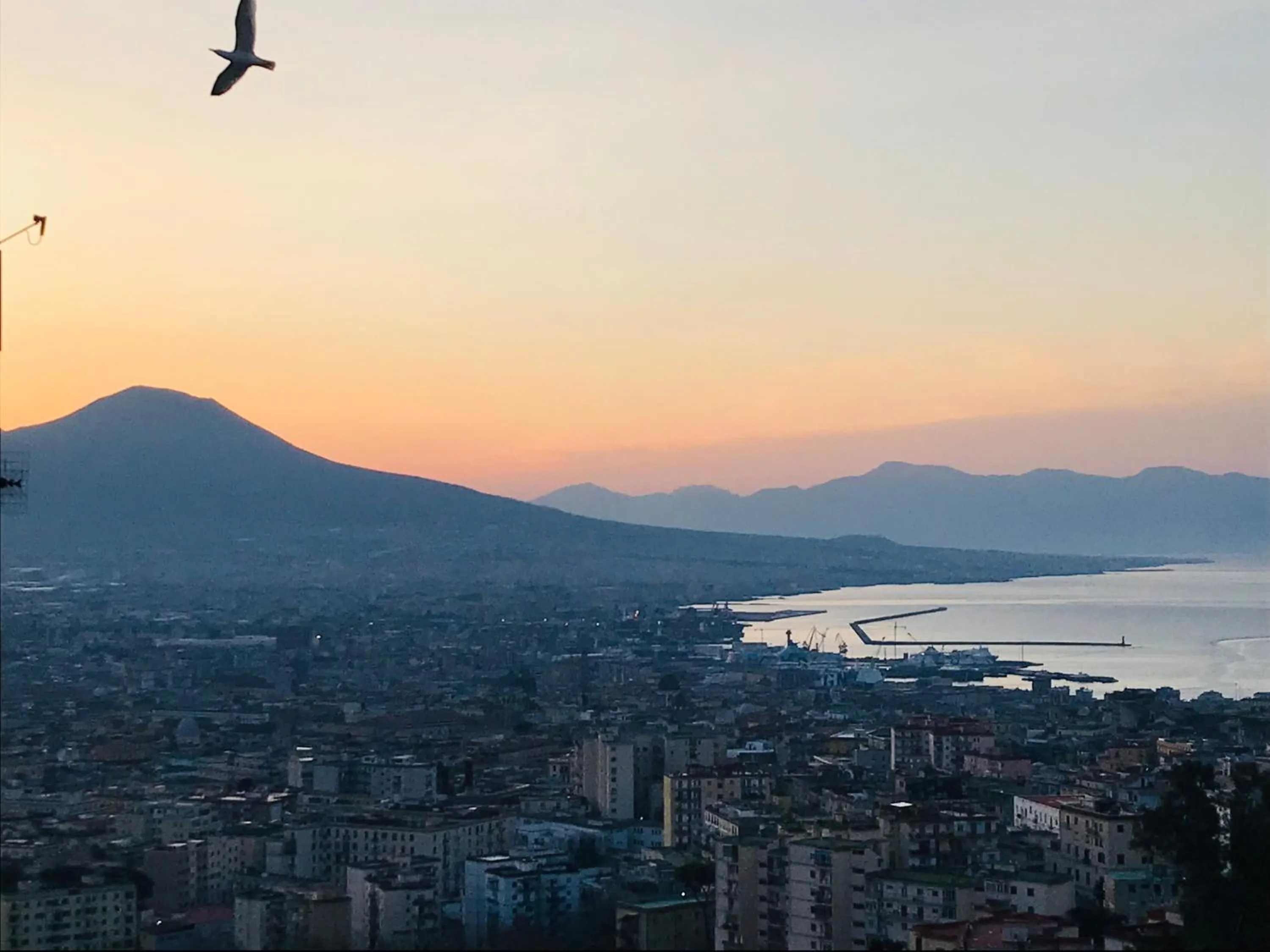 Natural landscape in B&B Pacifico