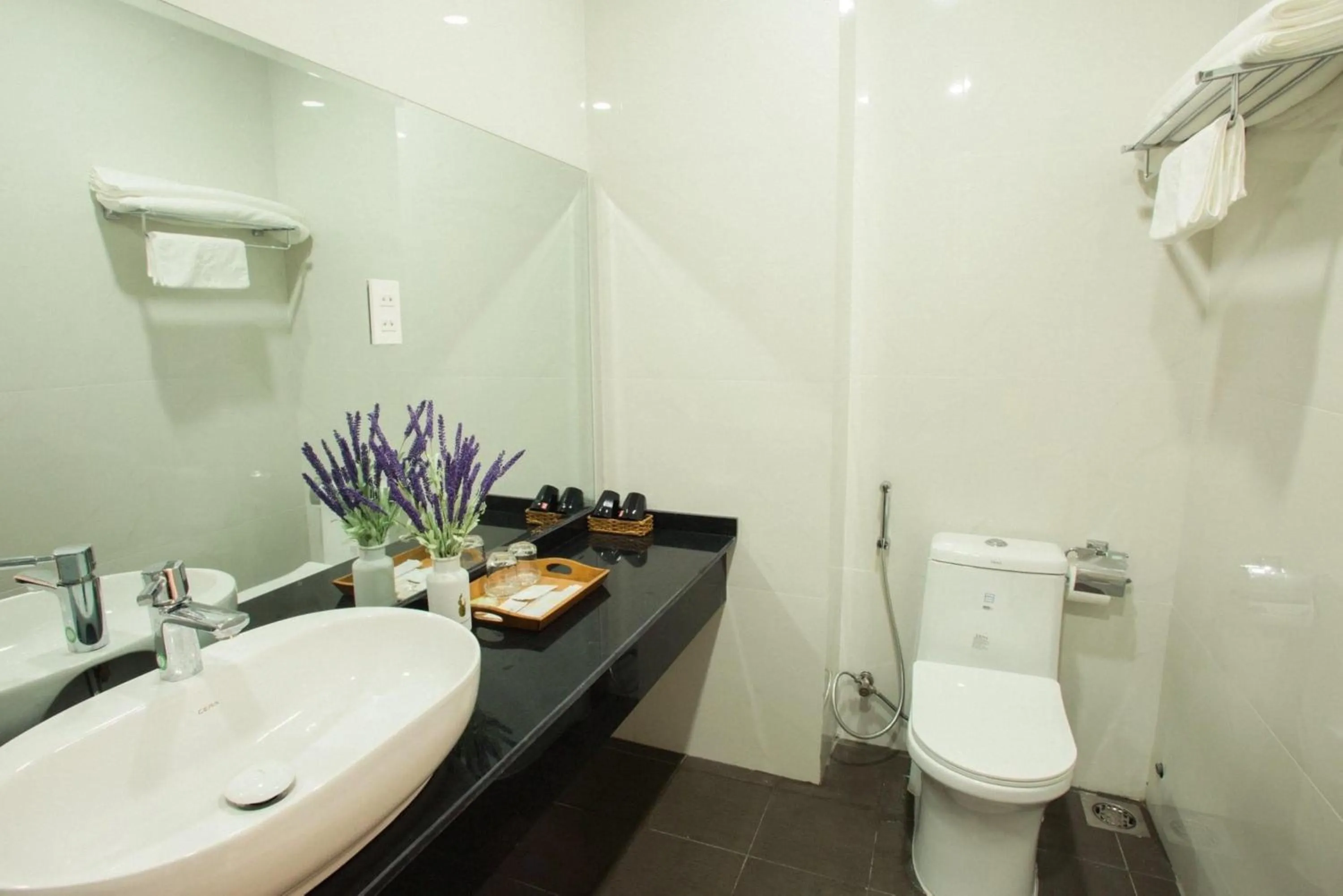 Toilet in Selima Hotel