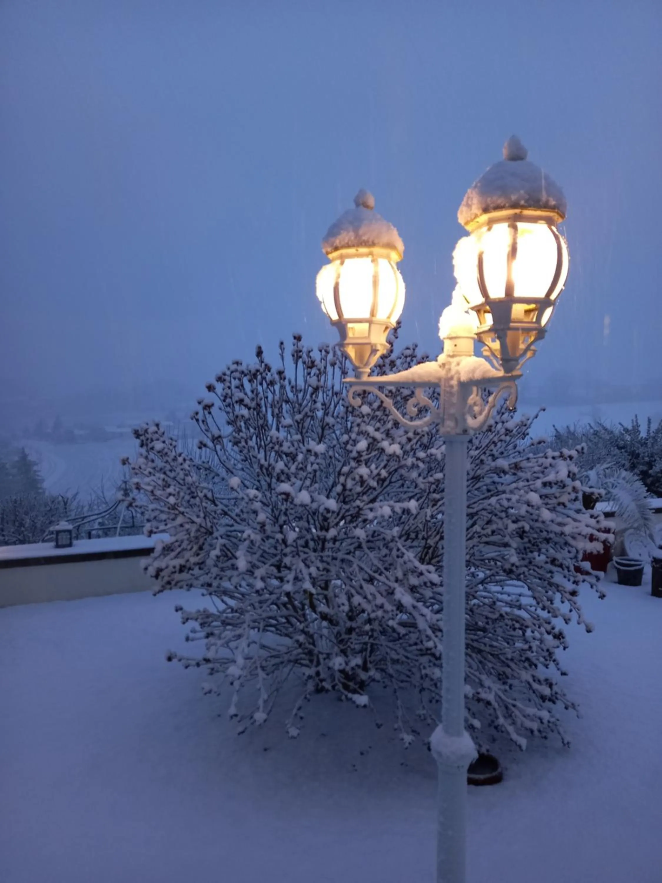 Patio in MONTISMAURELLI