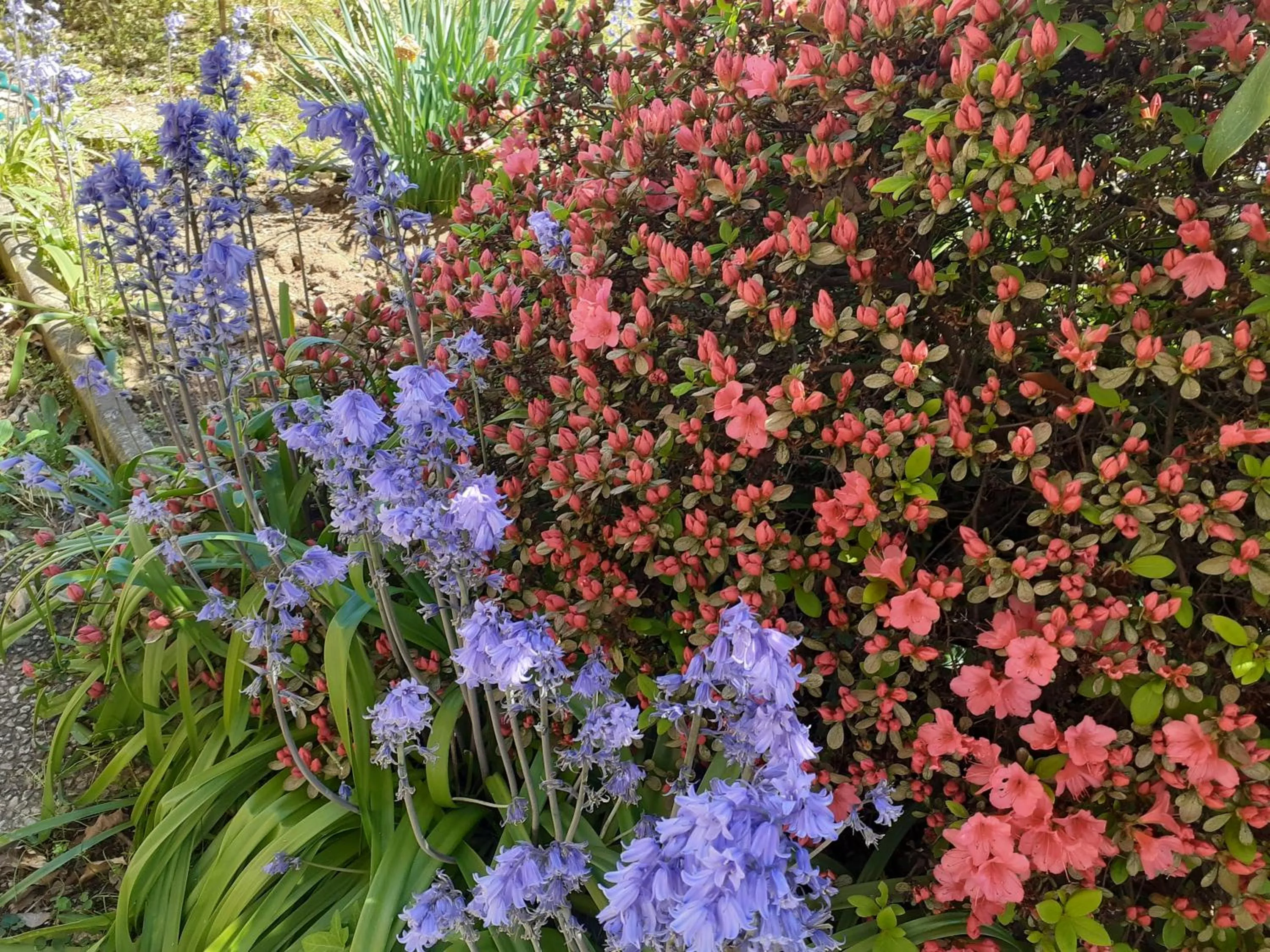 Spring in B&B Villa Bucceri