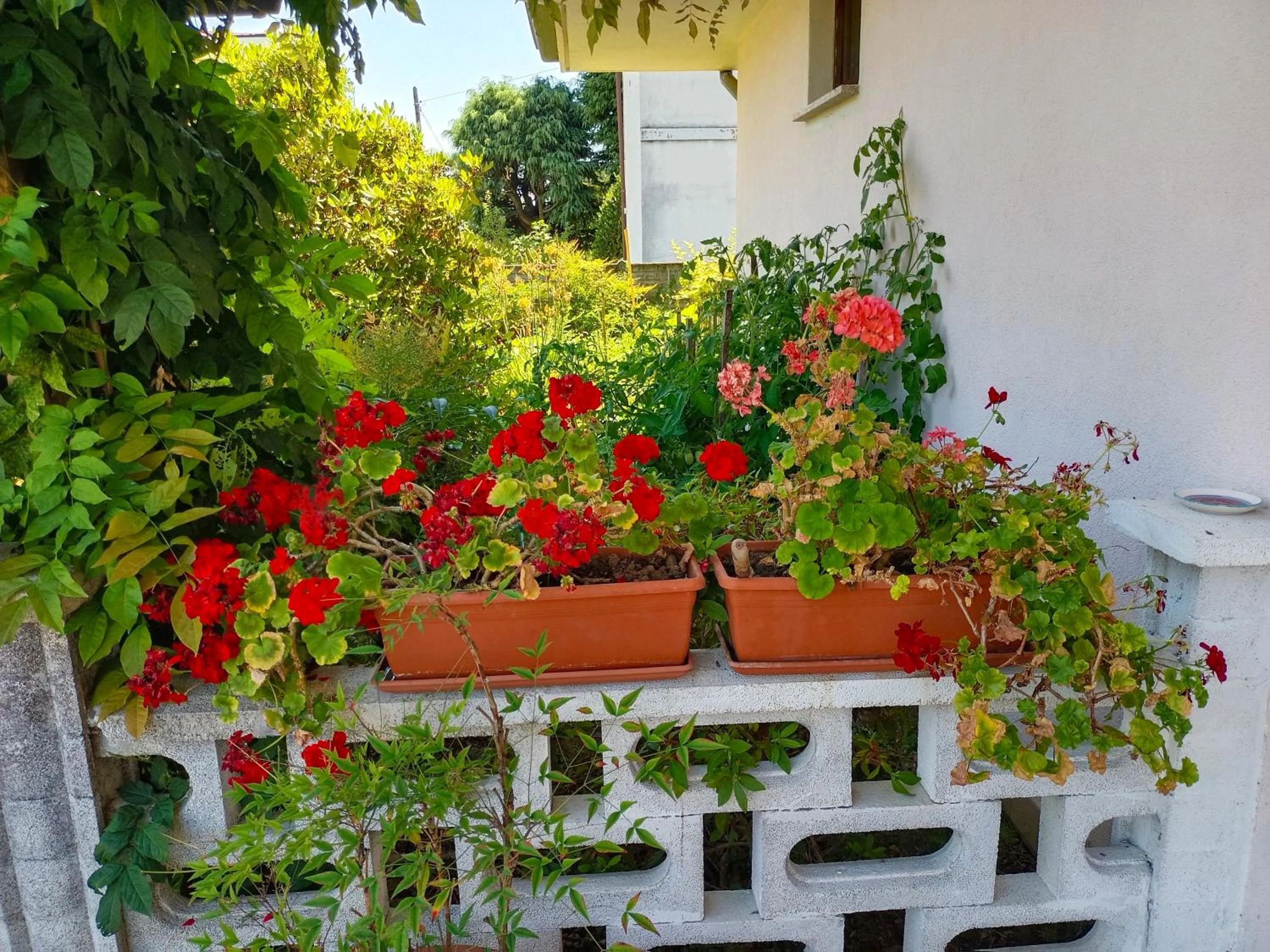 Spring in B&B Villa Bucceri