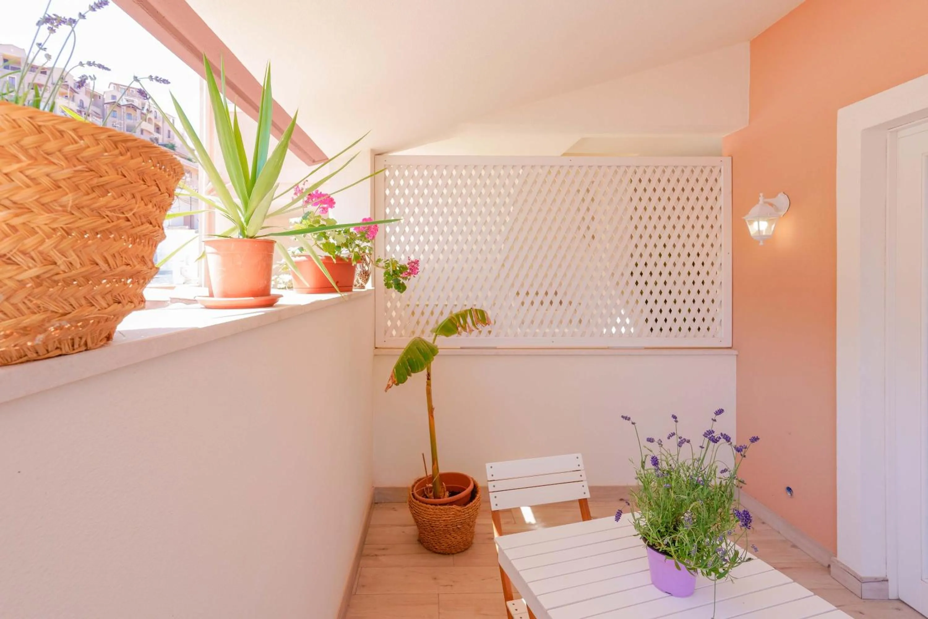 Balcony/Terrace in Domo Green House