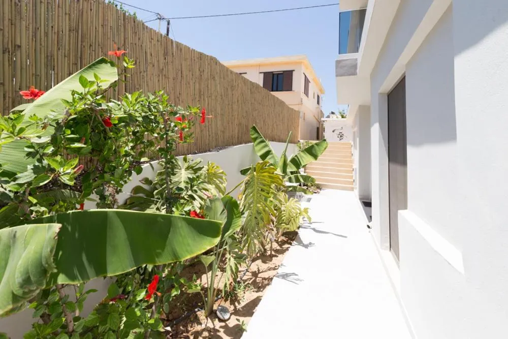 Garden in Calmare suites