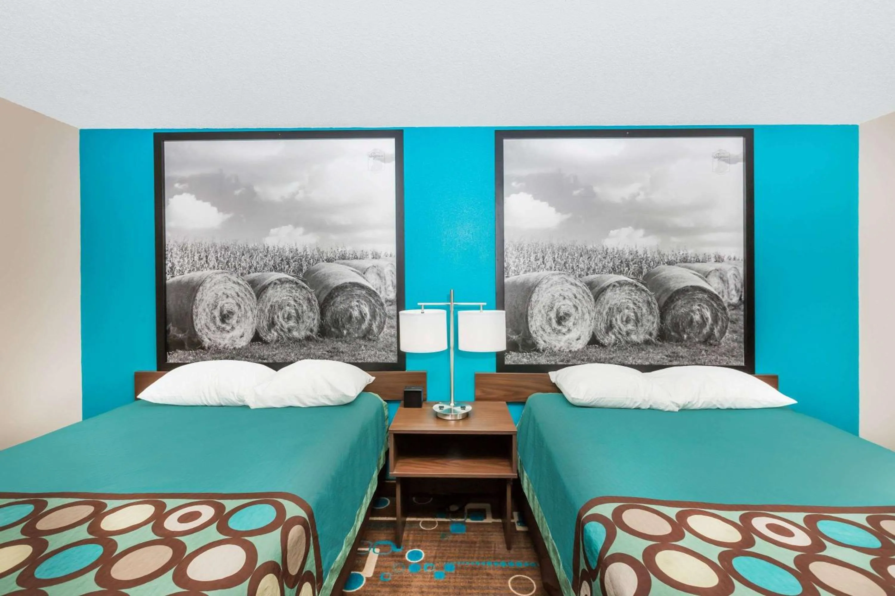 Photo of the whole room in Super 8 by Wyndham Spencer