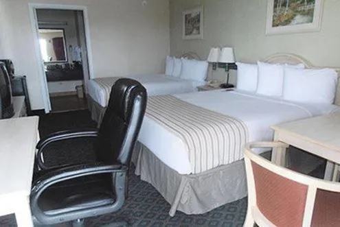 Bed in Econo Lodge Falfurrias Hwy 281