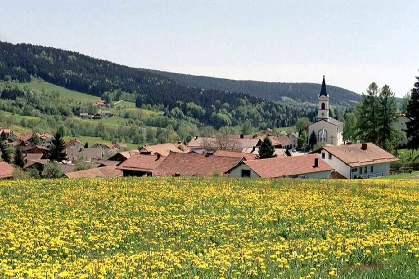 Spring in Ferien vom Ich, Bayerischer Wald, Hotel & Restaurant