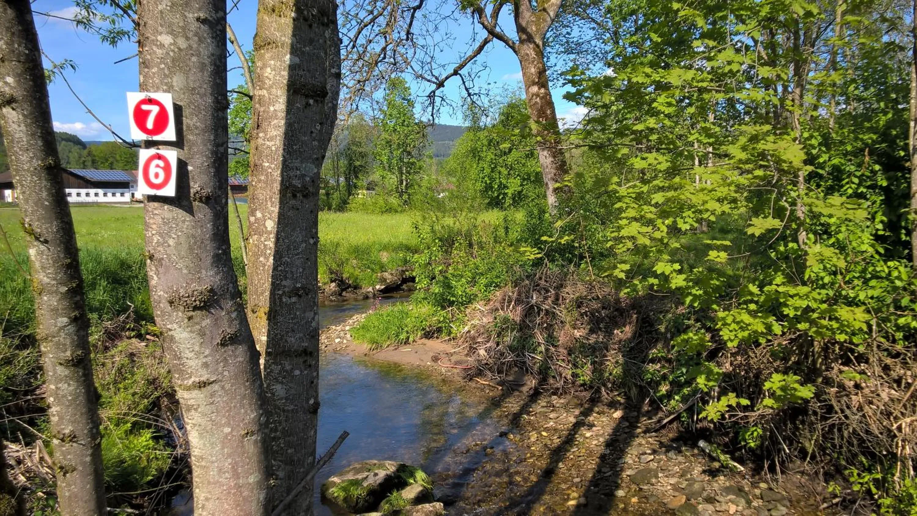 Natural landscape in Ferien vom Ich, Bayerischer Wald, Hotel & Restaurant