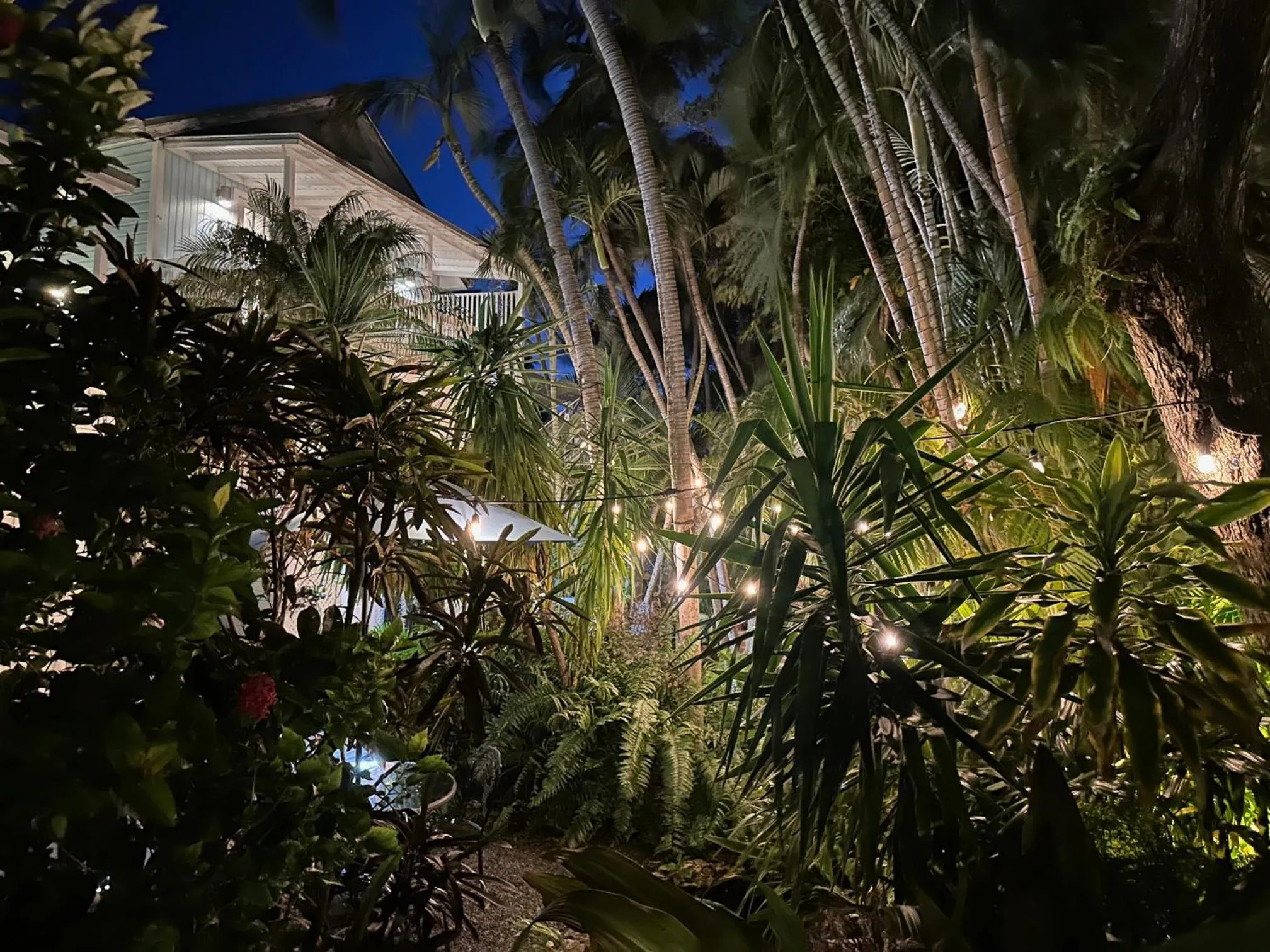 Night in Douglas House