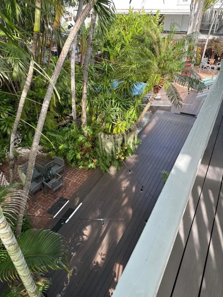 Bird's eye view in Douglas House