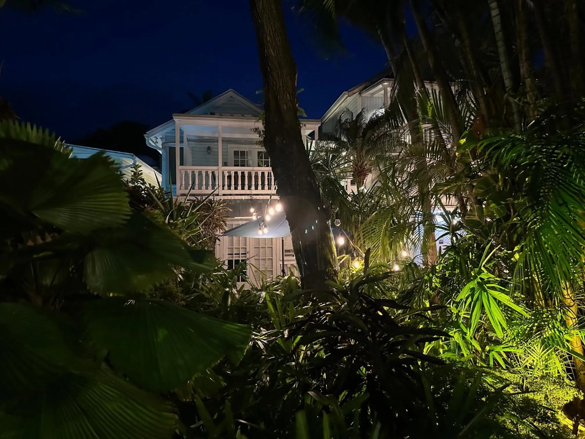 Night in Douglas House