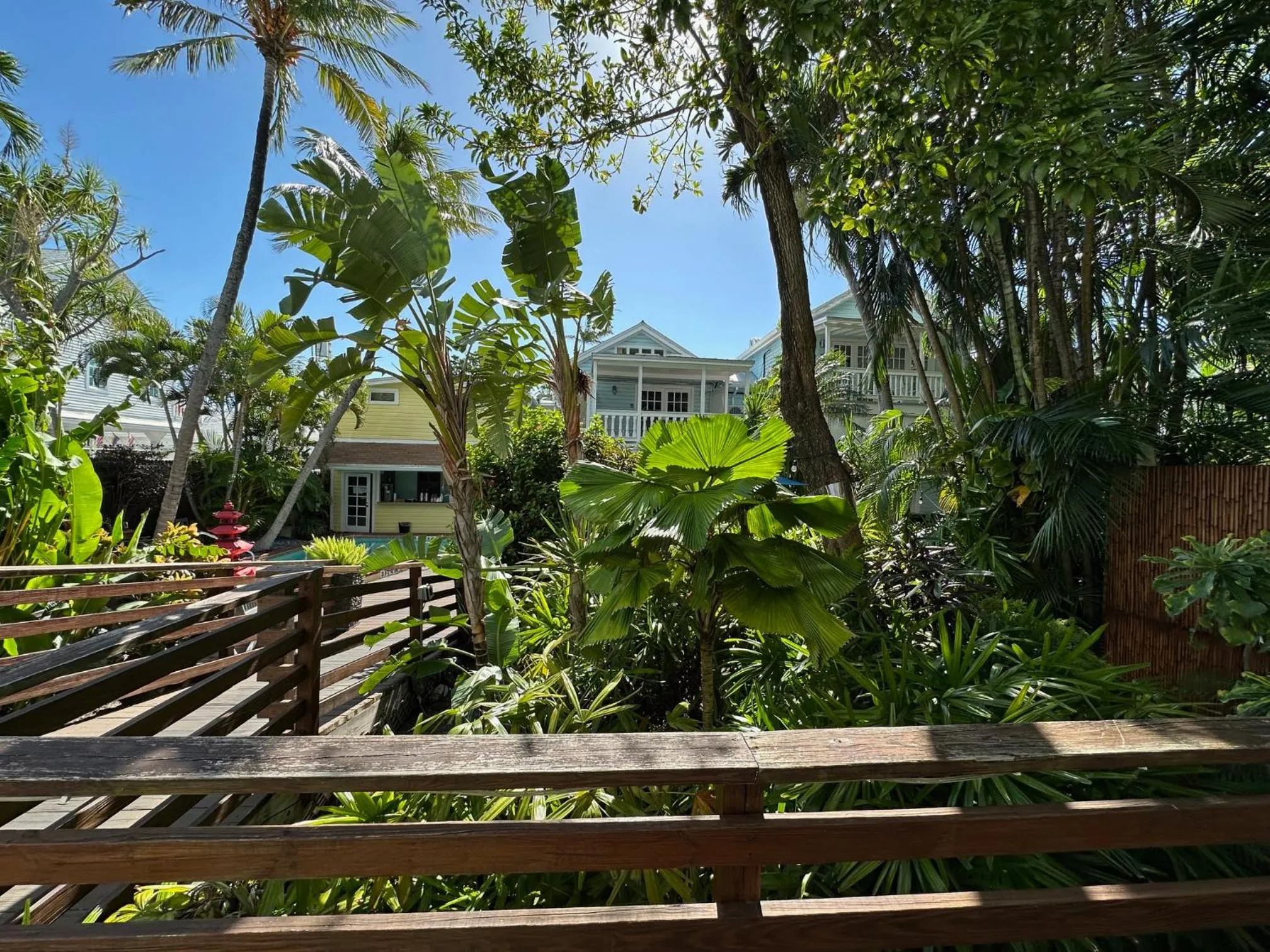 Garden view in Douglas House