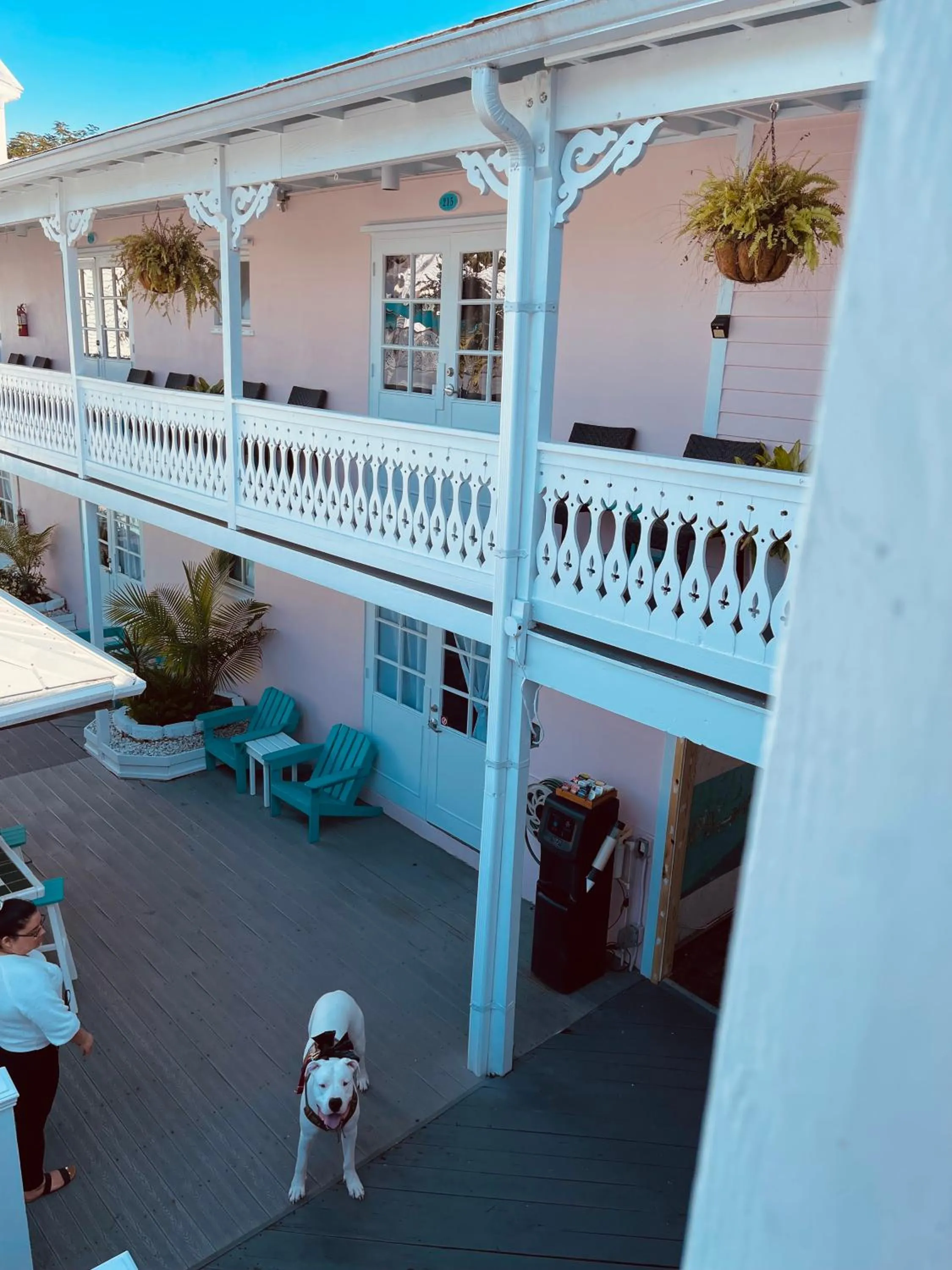 Patio in The Palms Hotel