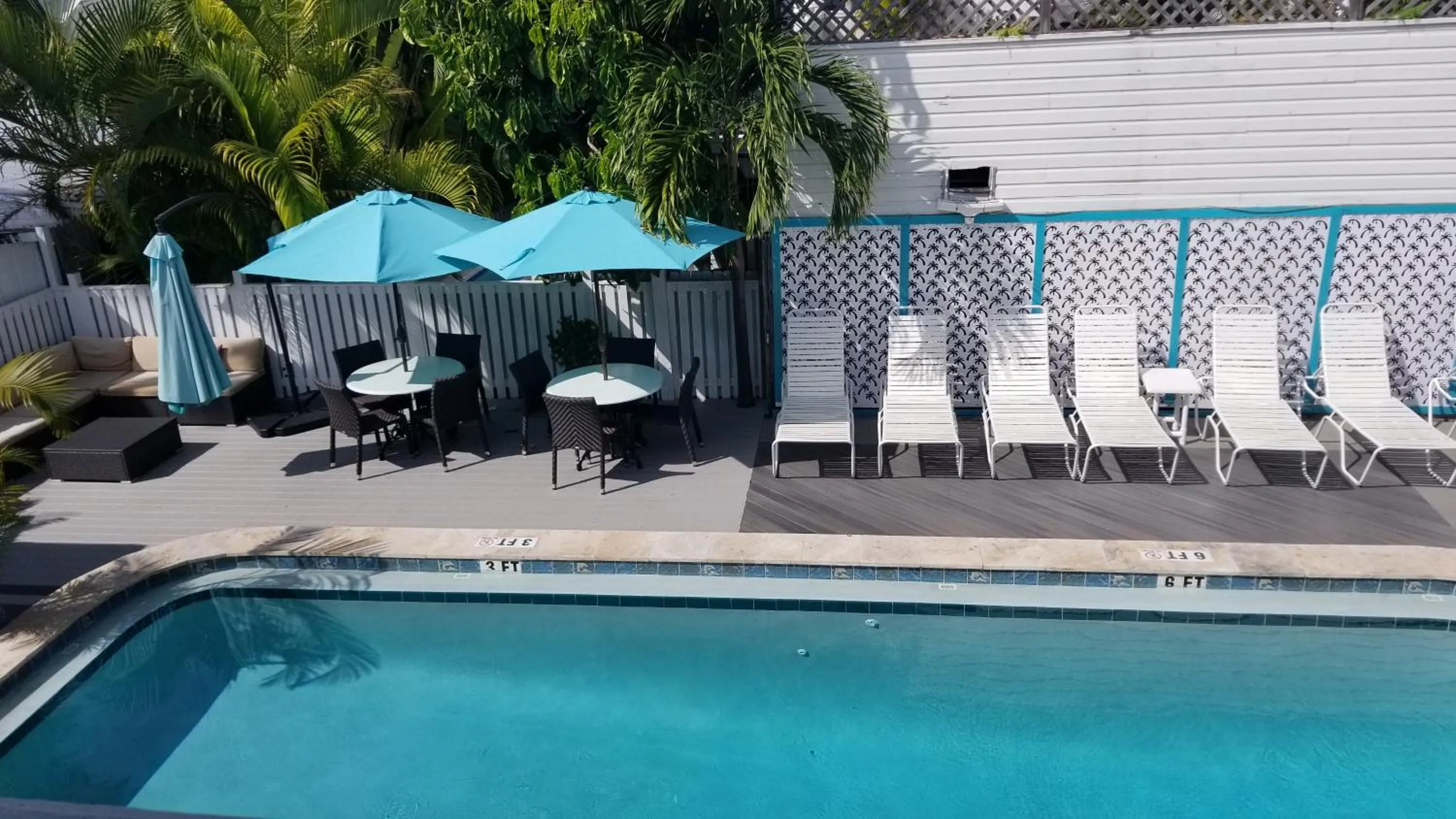 Swimming pool in The Palms Hotel