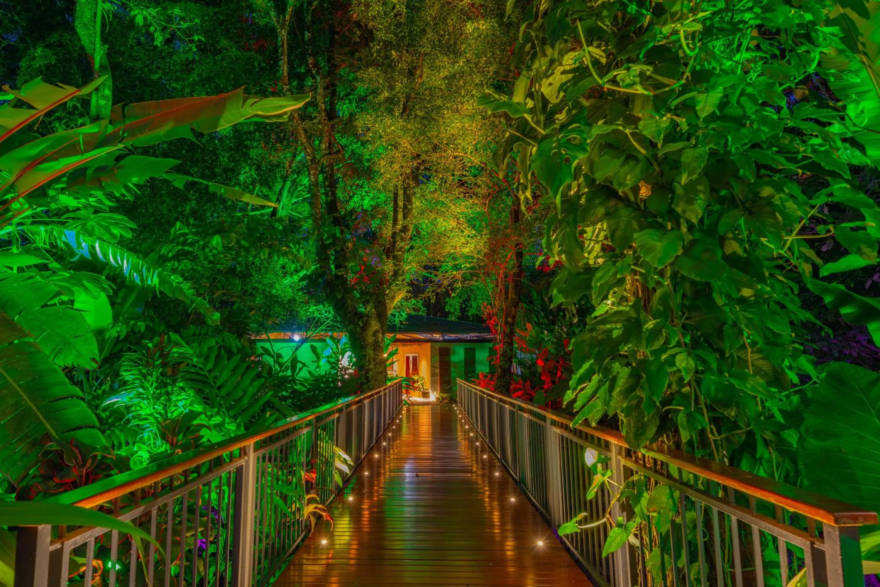 Natural landscape in Noah's Forest Hotel by Tifakara