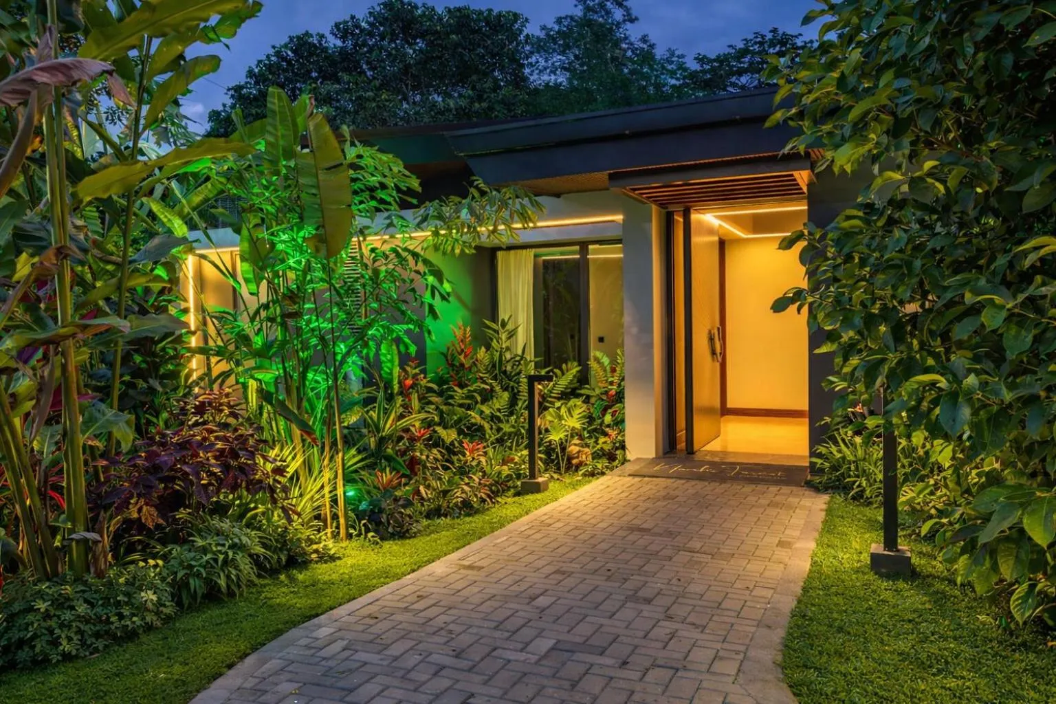 Other in Noah's Forest by Tifakara