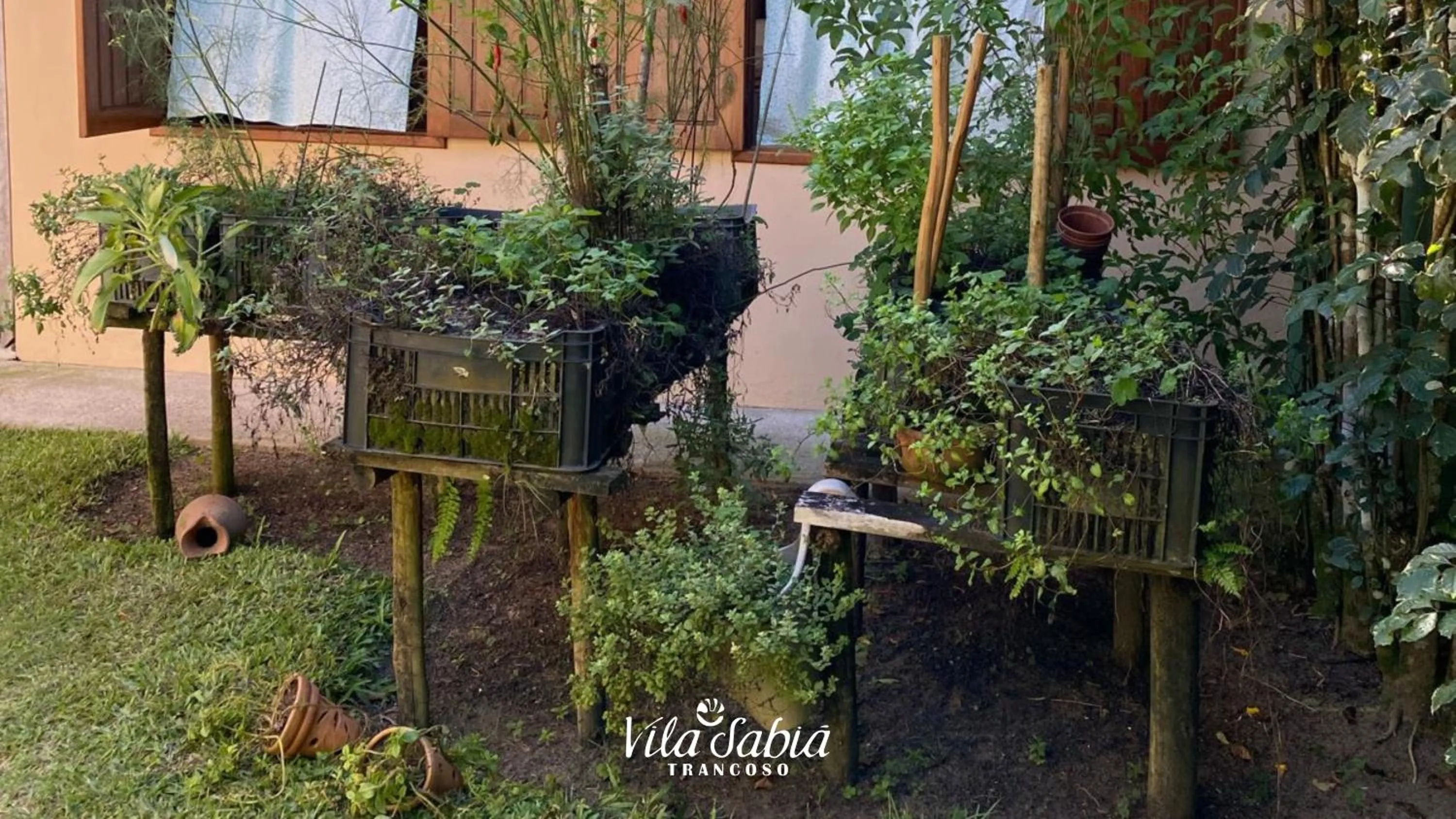 Garden in Vila Sabiá Trancoso