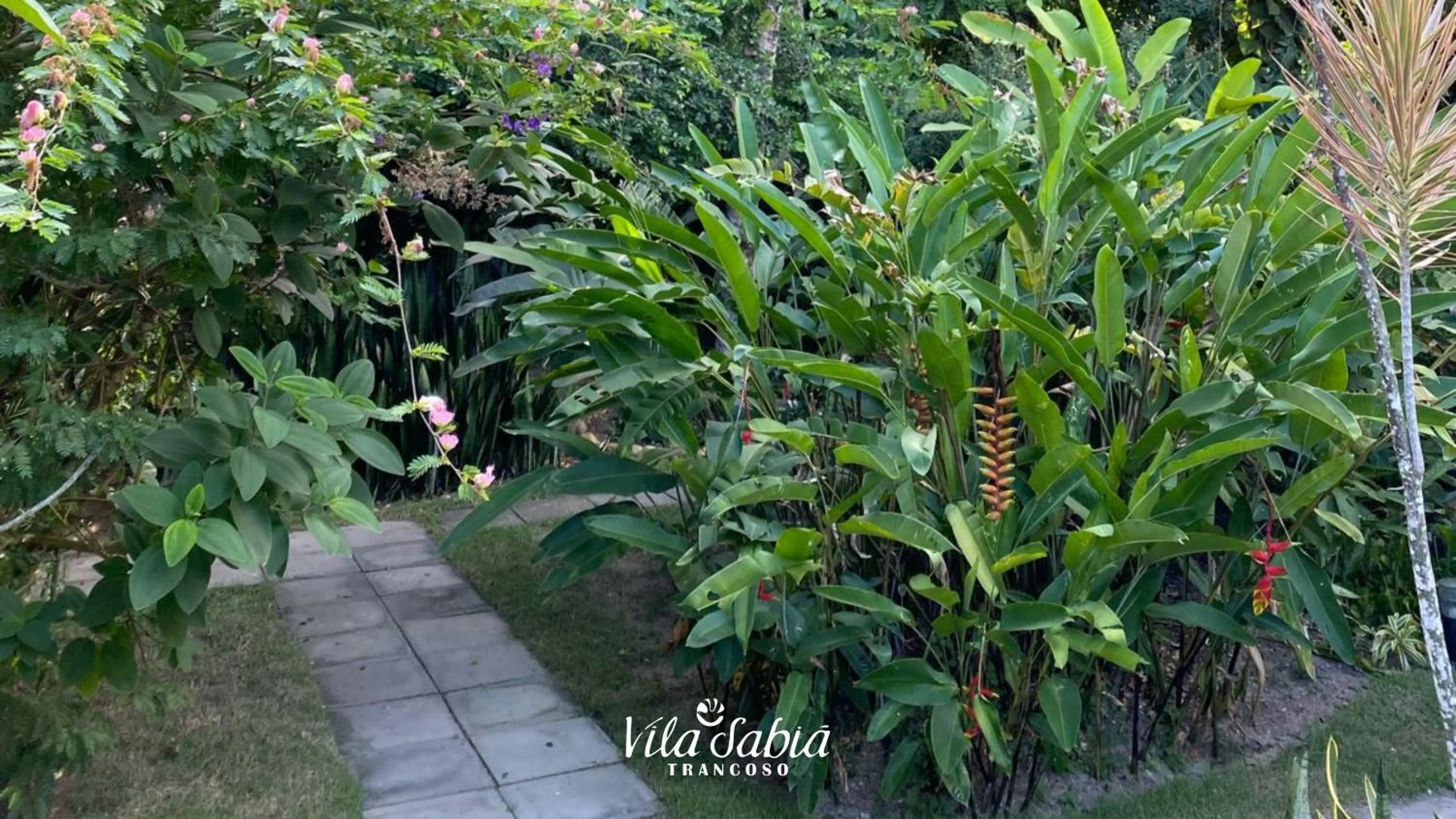 Day in Vila Sabiá Trancoso