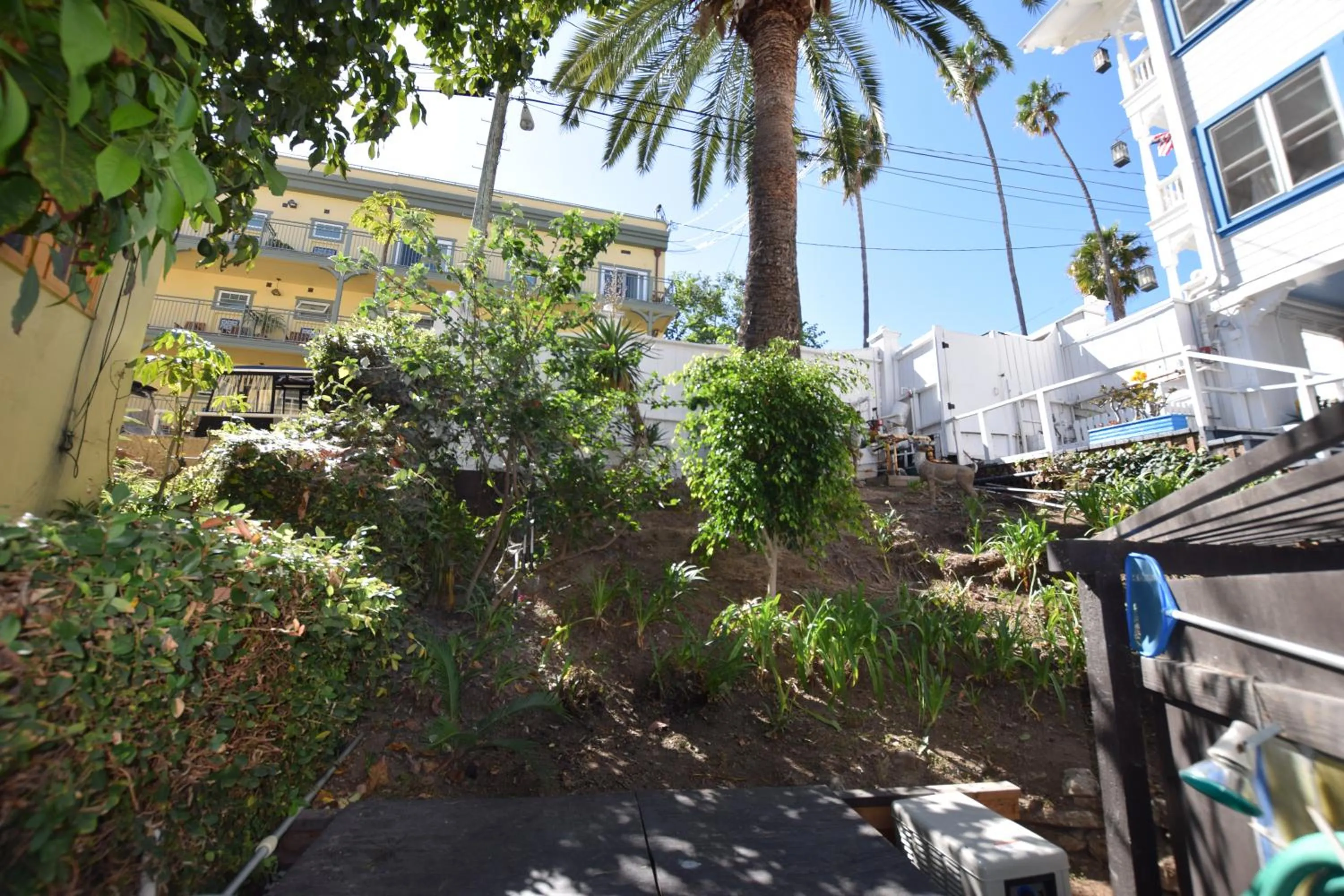 Property building in Hotel Catalina