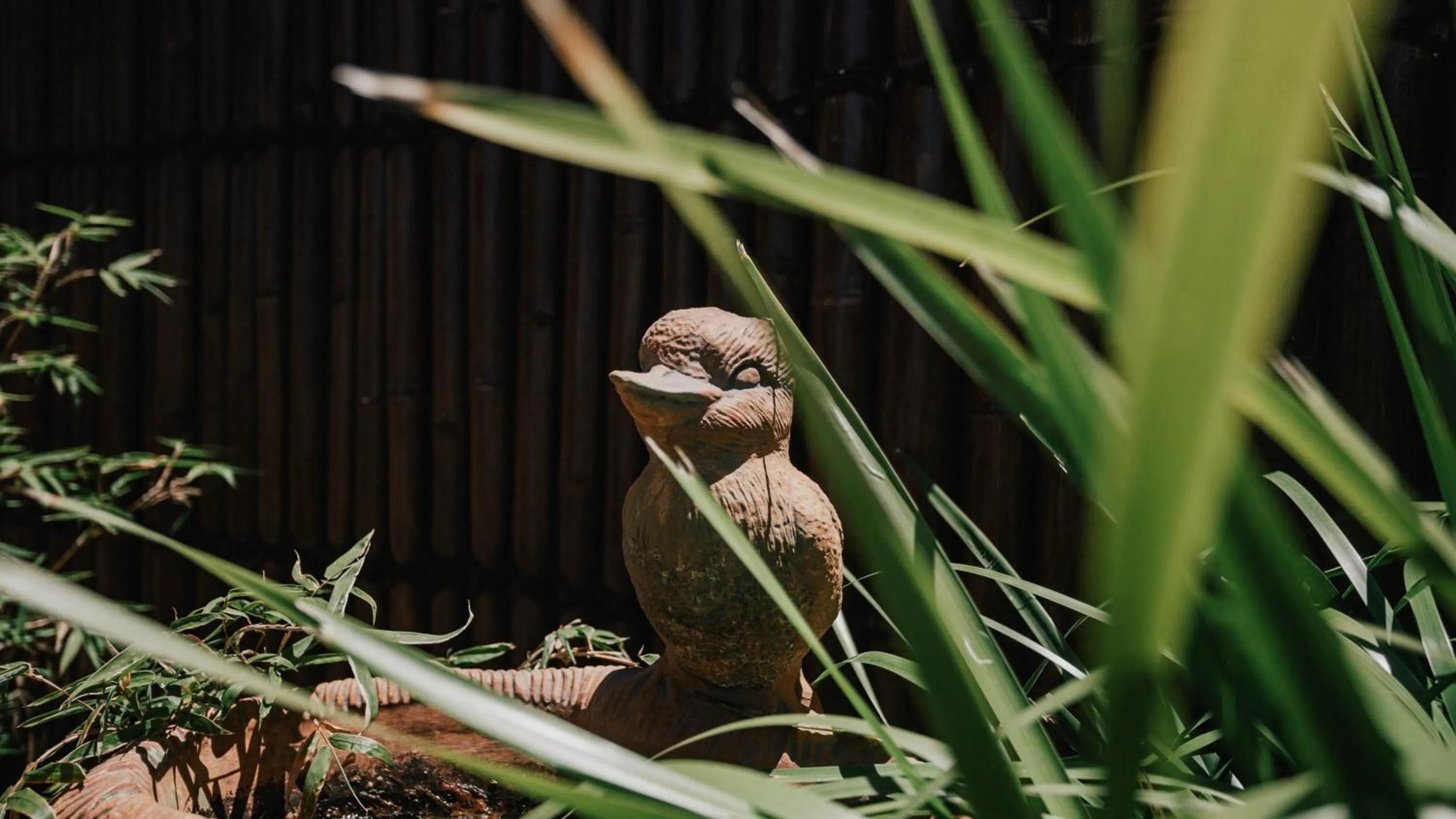 Garden in Donald Motor Lodge