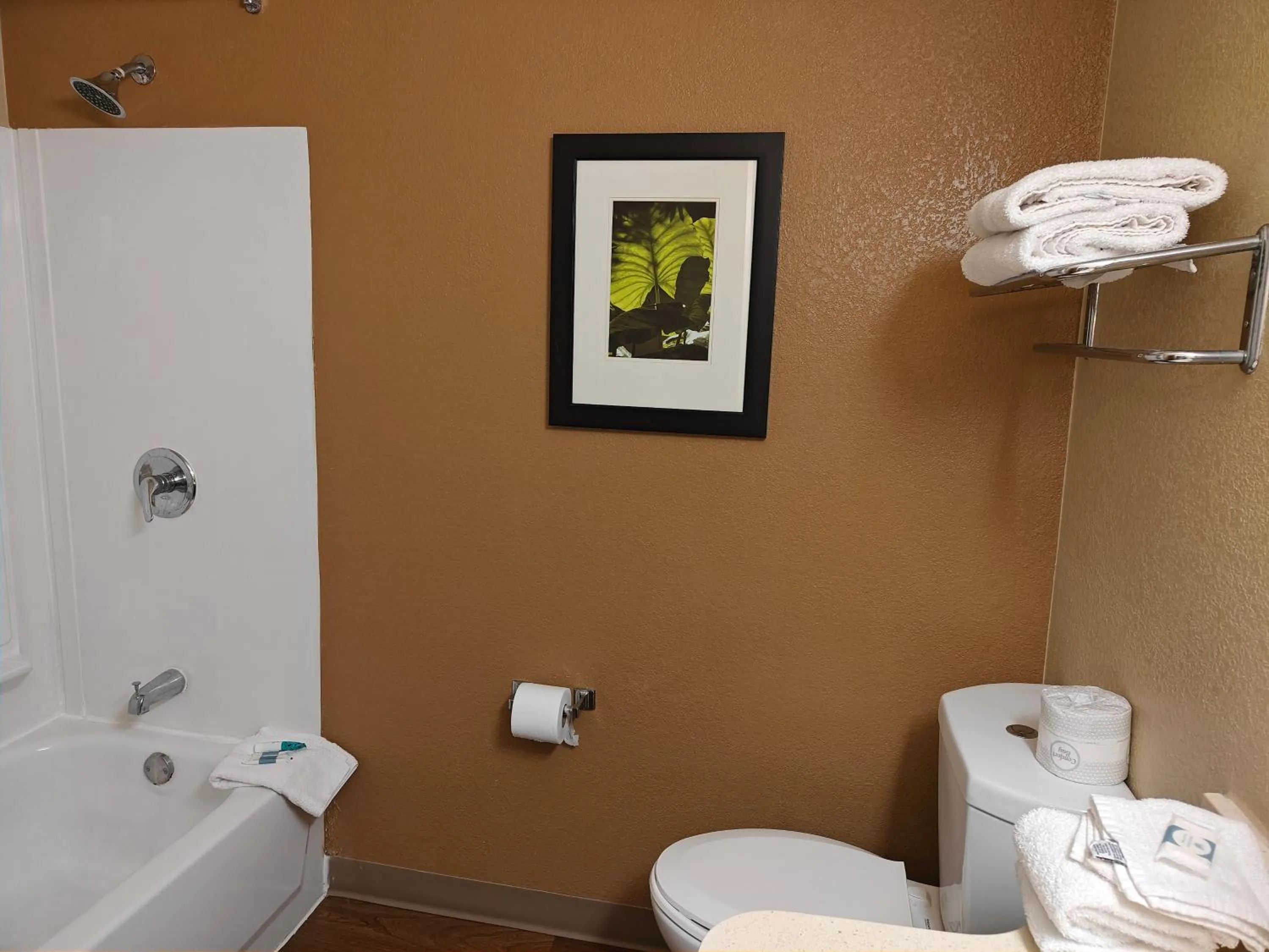 Shower in Hawthorn Extended Stay by Wyndham DFW Airport North