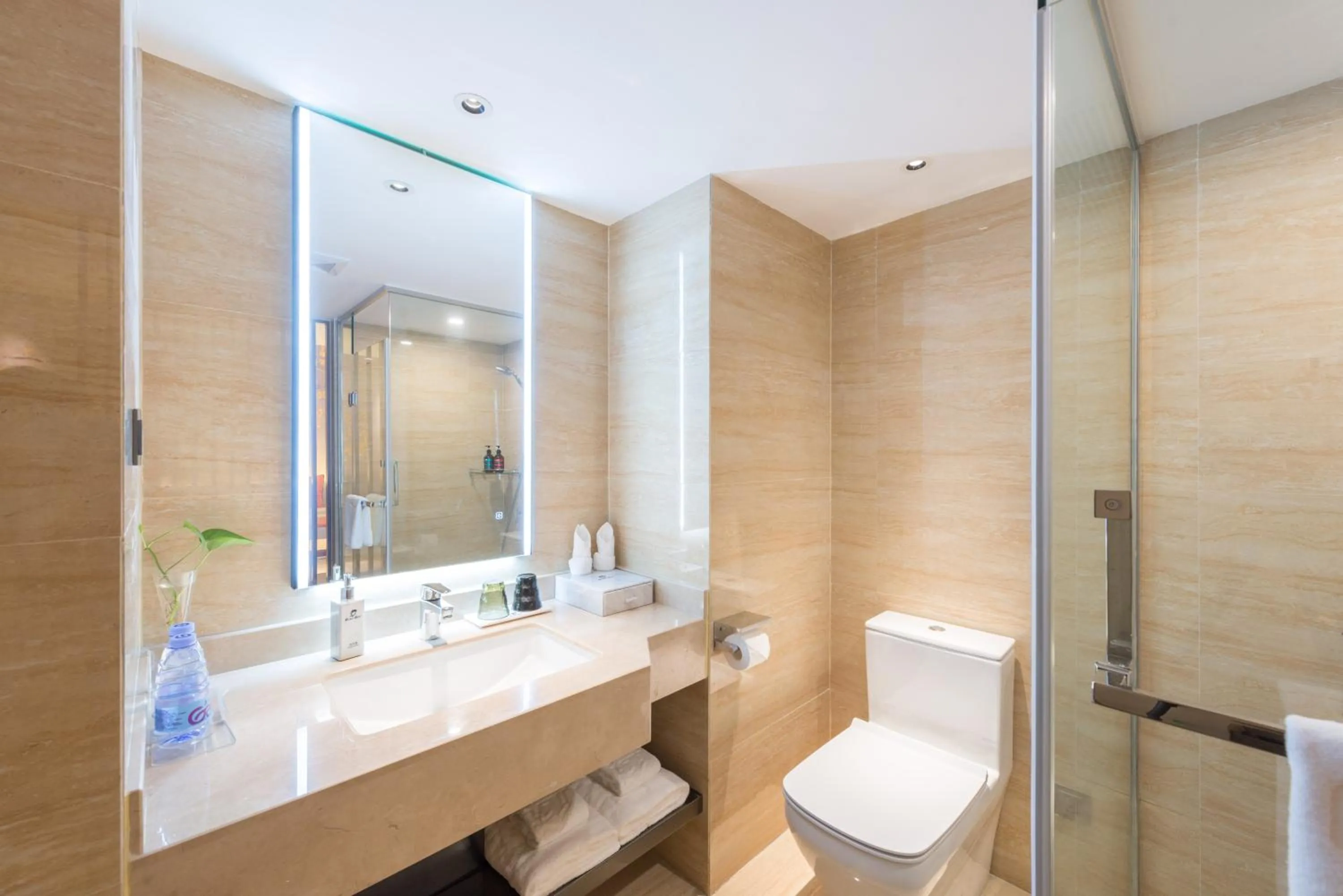 Toilet in Dashen Hotel Shunde Lecong