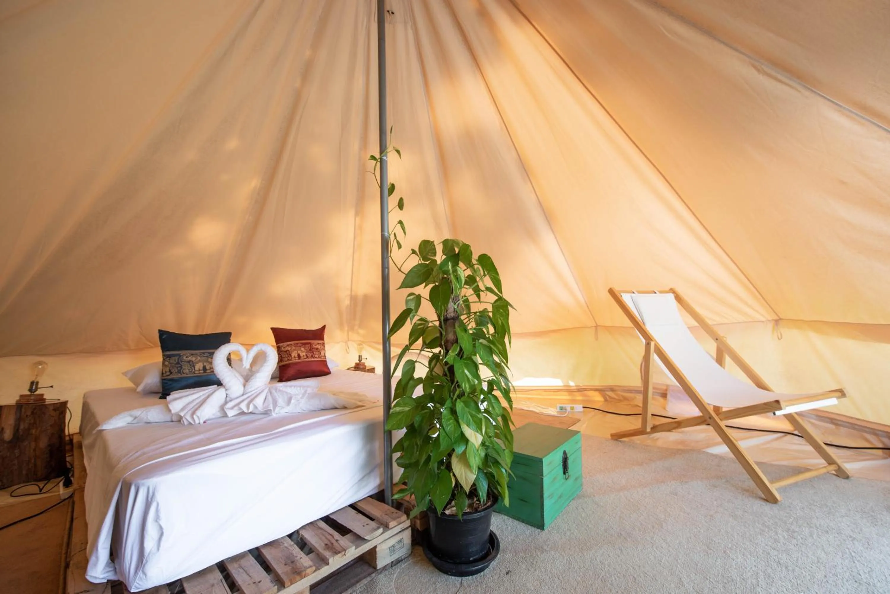 Bed in Roost Glamping - SHA Certified