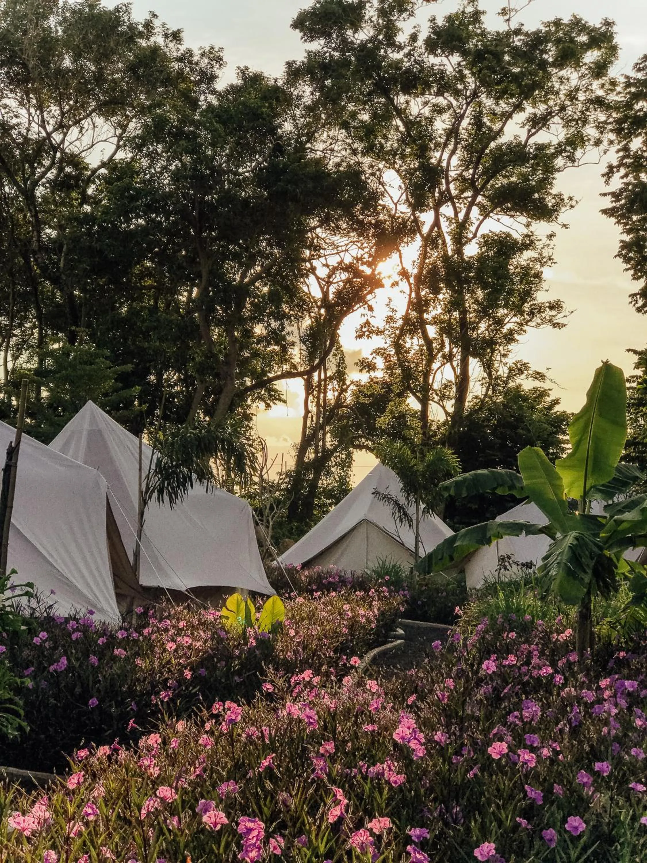 Garden in Roost Glamping - SHA Certified
