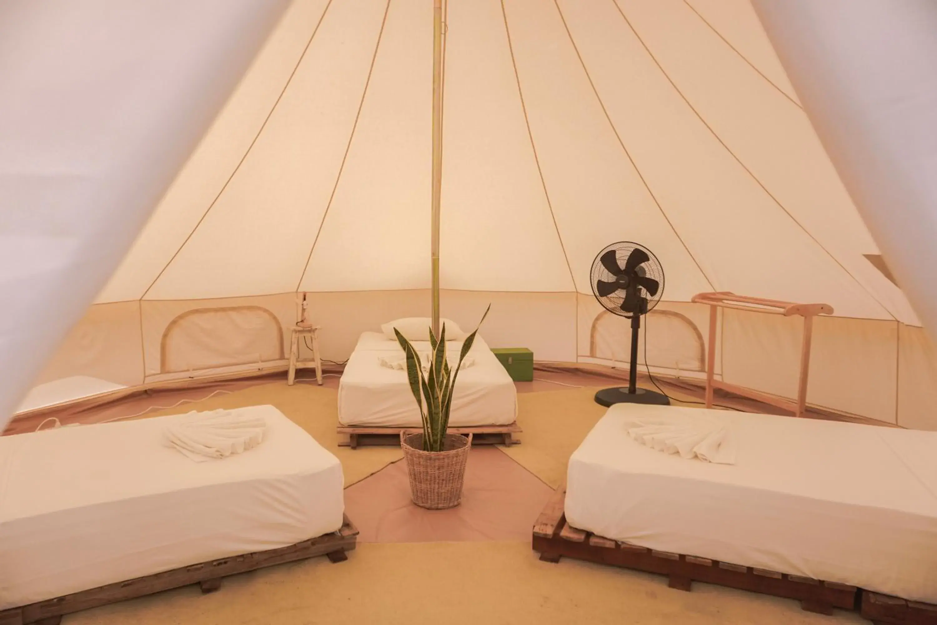 Bed in 3-Bed Female Dormitory Room in Roost Glamping - SHA Certified Bed in 3-Bed Female Dormitory Room in Roost Glamping - SHA Certified