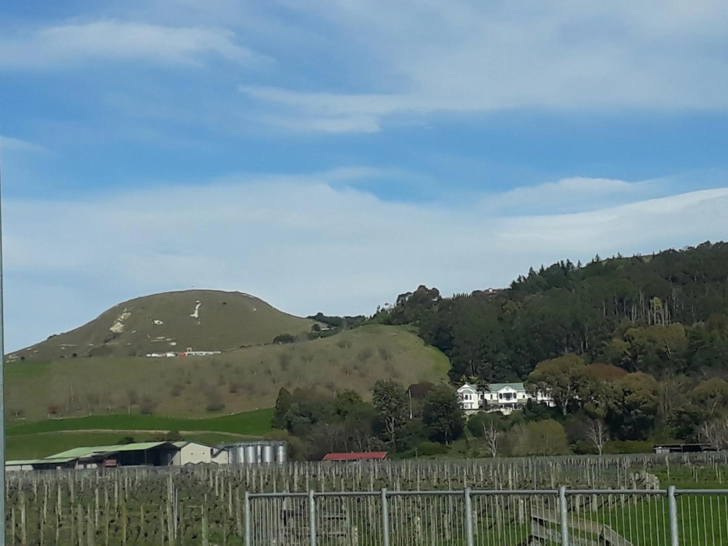 Hidden Gem in Oaklands