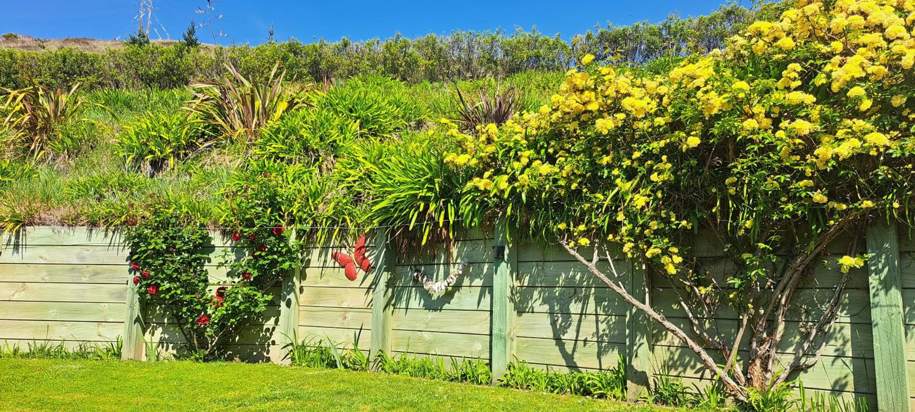 Hidden Gem in Oaklands