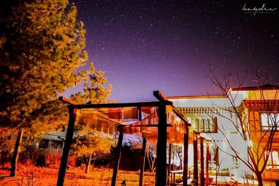 View (from property/room) in Nirvana Lodge