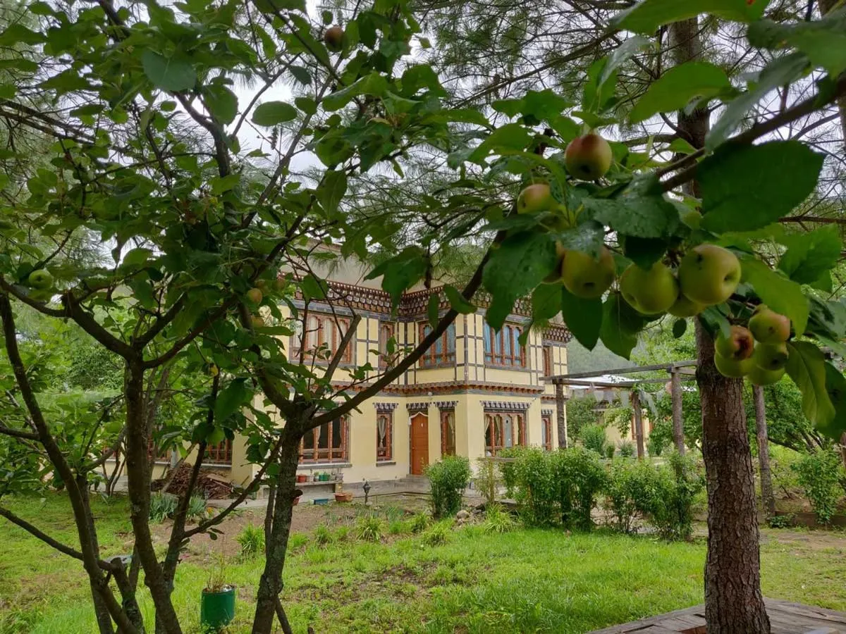 Property building in Nirvana Lodge