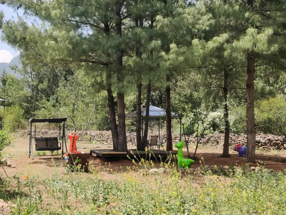 Garden in Nirvana Lodge