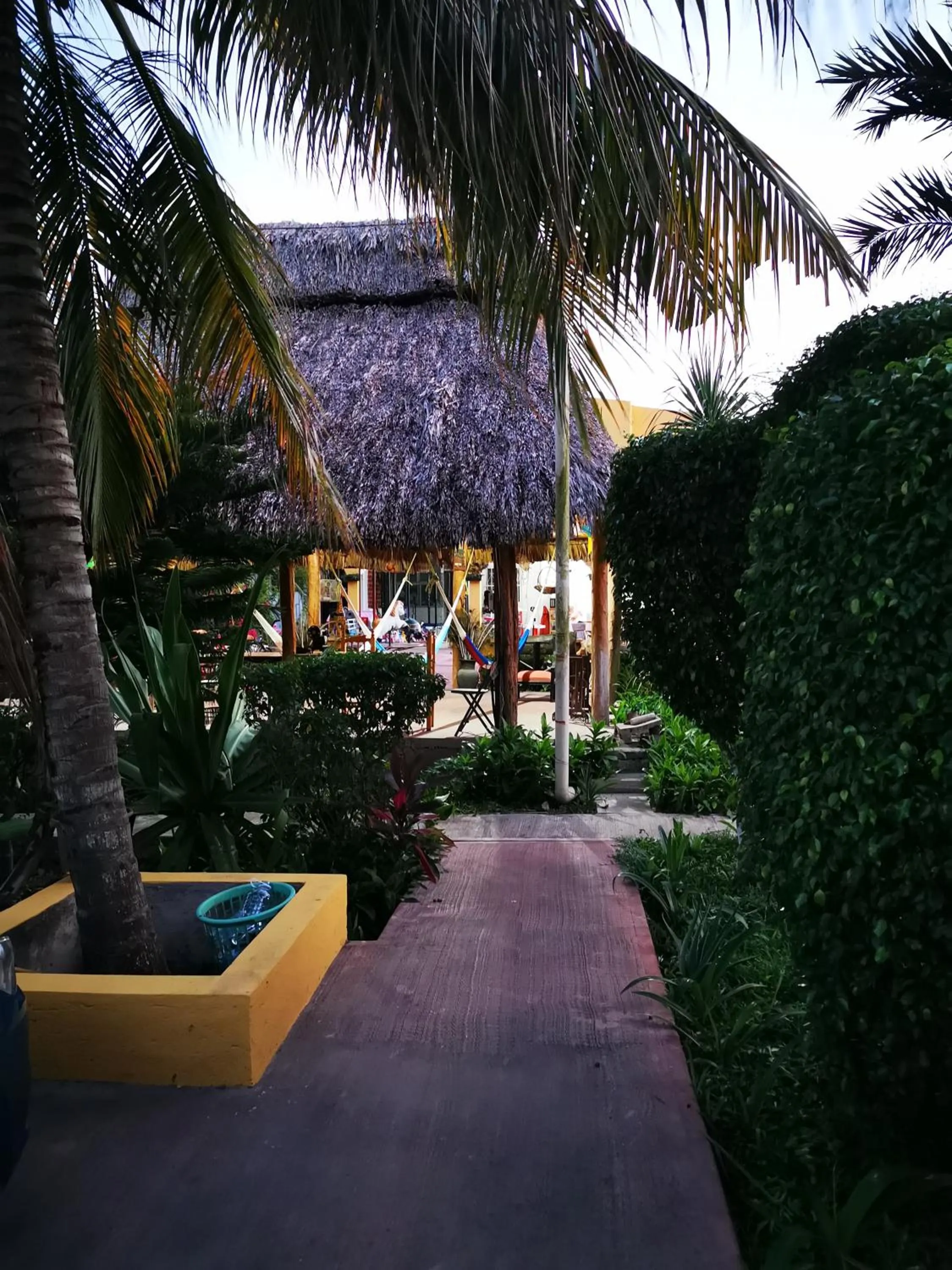 Spring in Casa Xu´unan