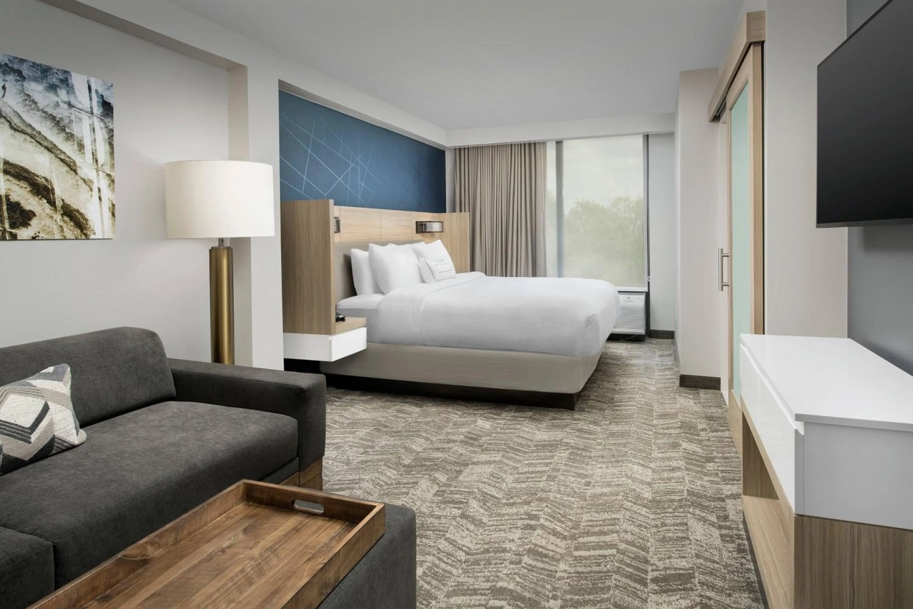 Photo of the whole room, Bed in SpringHill Suites by Marriott Atlanta Perimeter Center