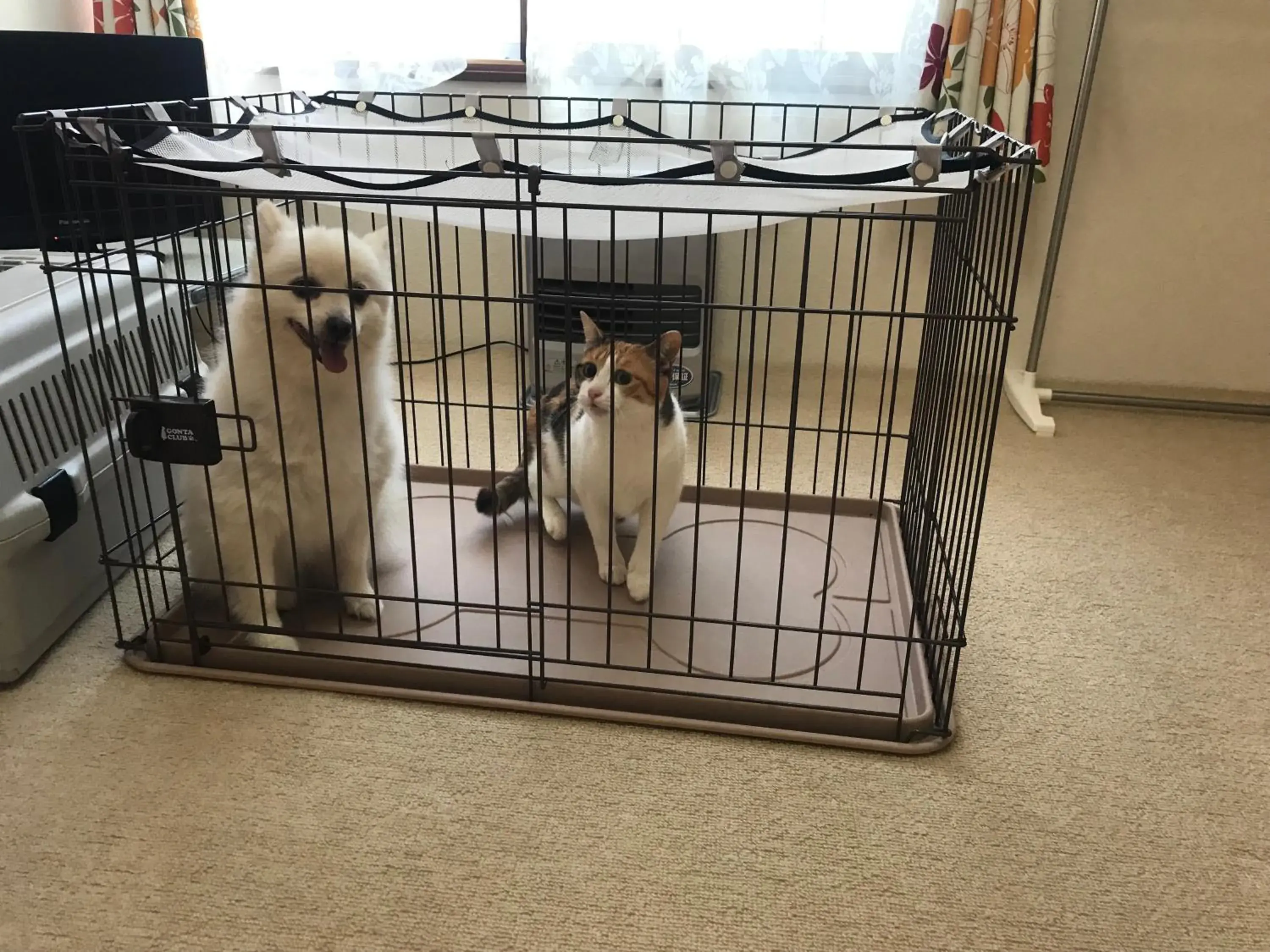 One-Bedroom Apartment in STAY Akeboshi Kan One-Bedroom Apartment in STAY Akeboshi Kan