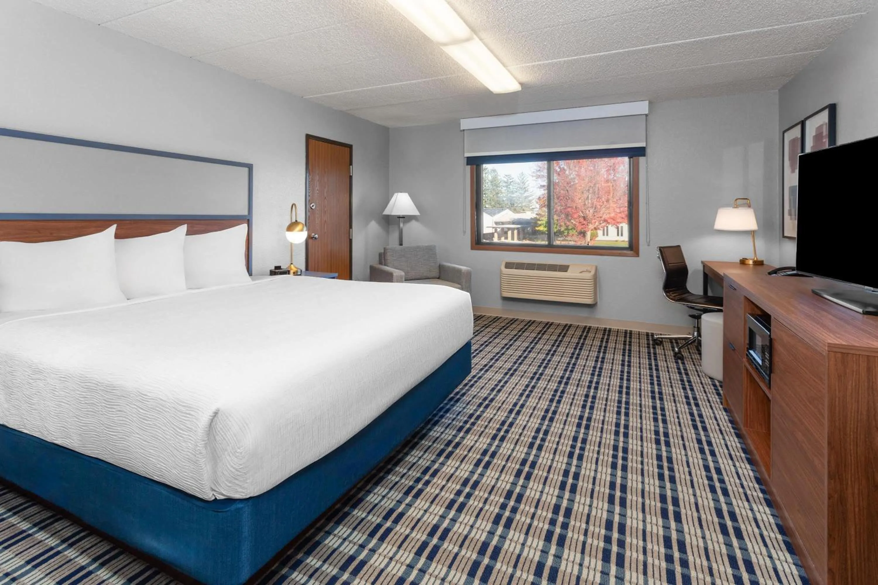 Photo of the whole room, Bed in AmericInn by Wyndham Plymouth