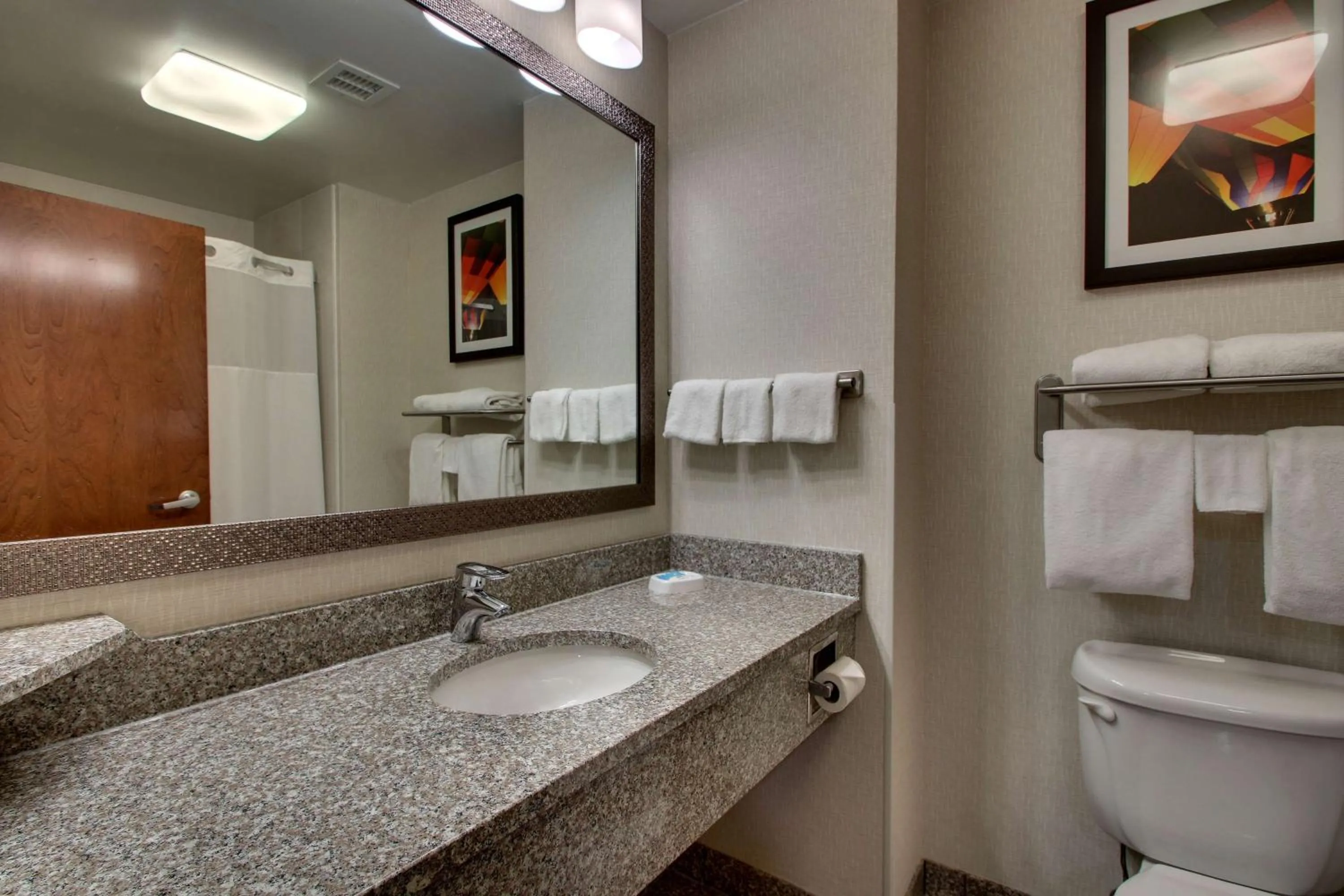 Bathroom in Drury Inn & Suites Findlay
