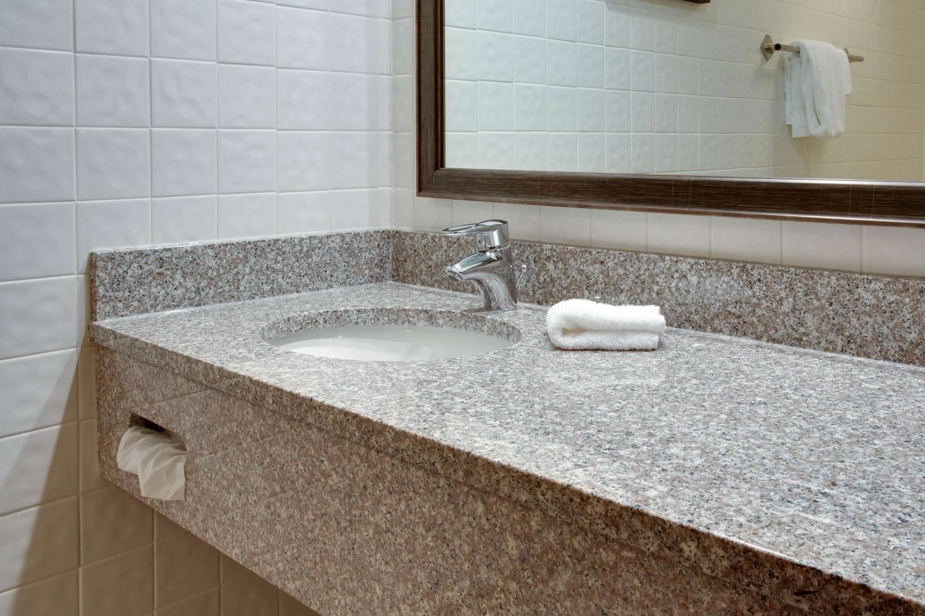 Bathroom in Drury Inn & Suites Terre Haute