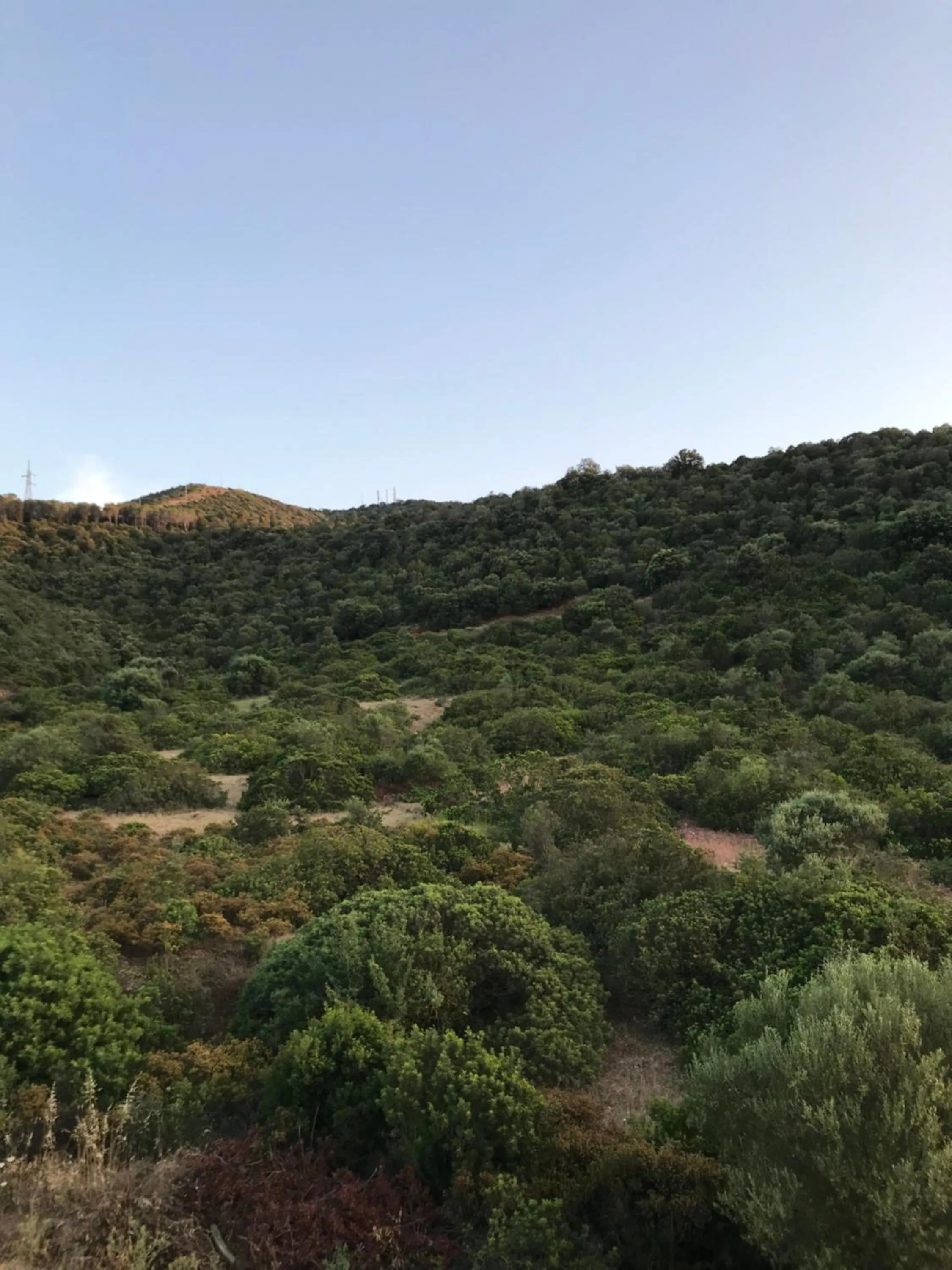 Mountain view in I Ginepri