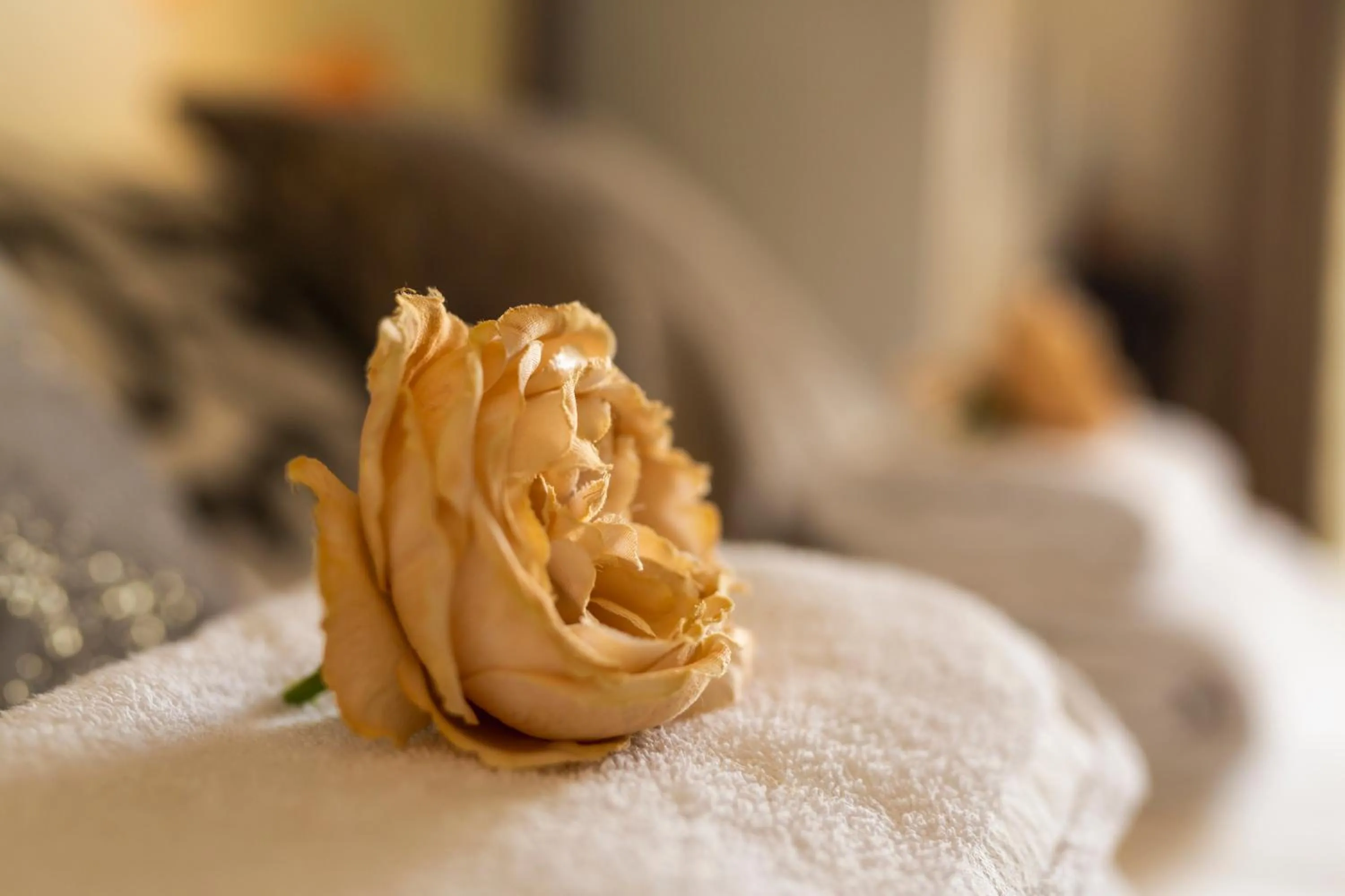 furniture, Bed in Benvenuti in puglia