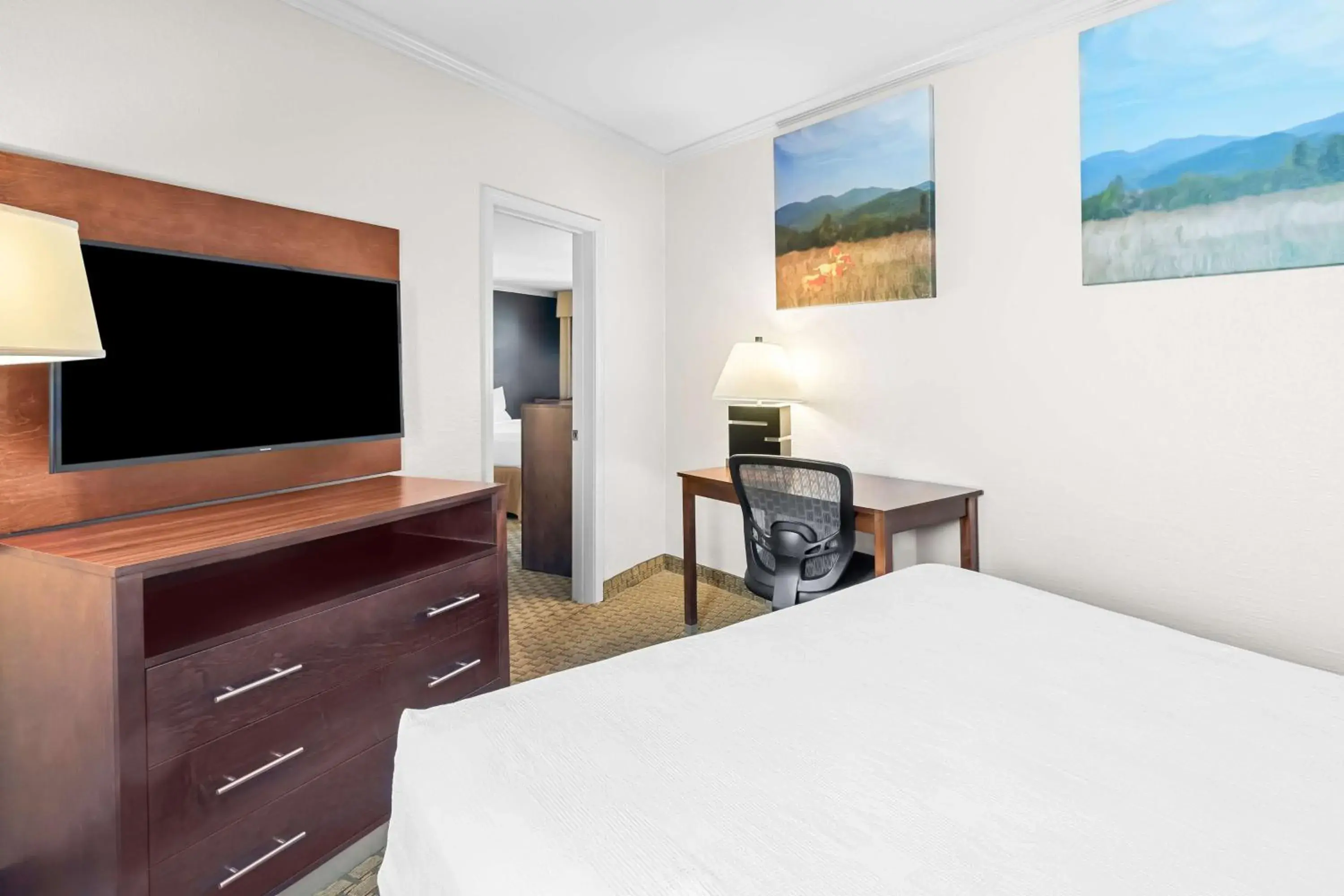 Queen Room in Best Western Skyline Motor Lodge Queen Room in Best Western Skyline Motor Lodge