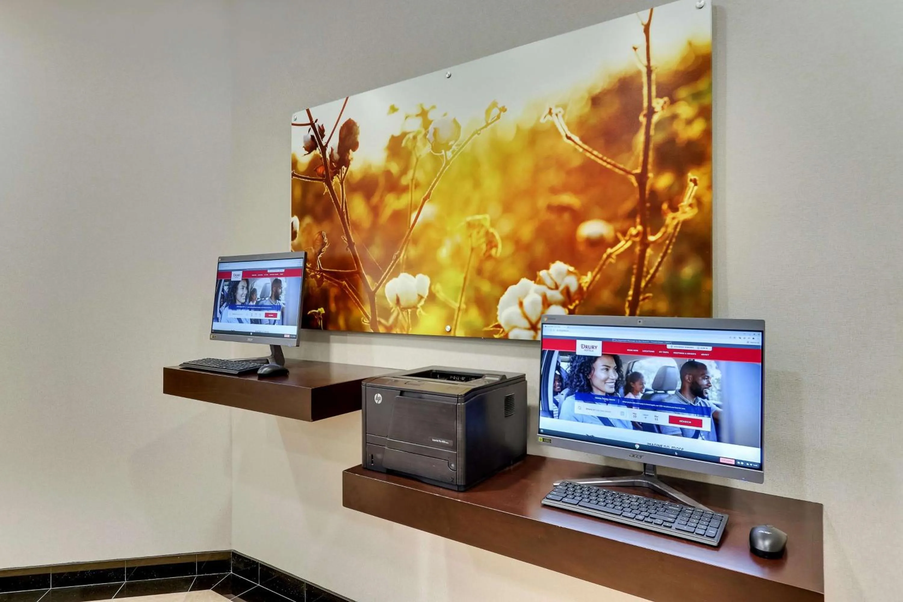 Business facilities in Drury Inn & Suites Sikeston