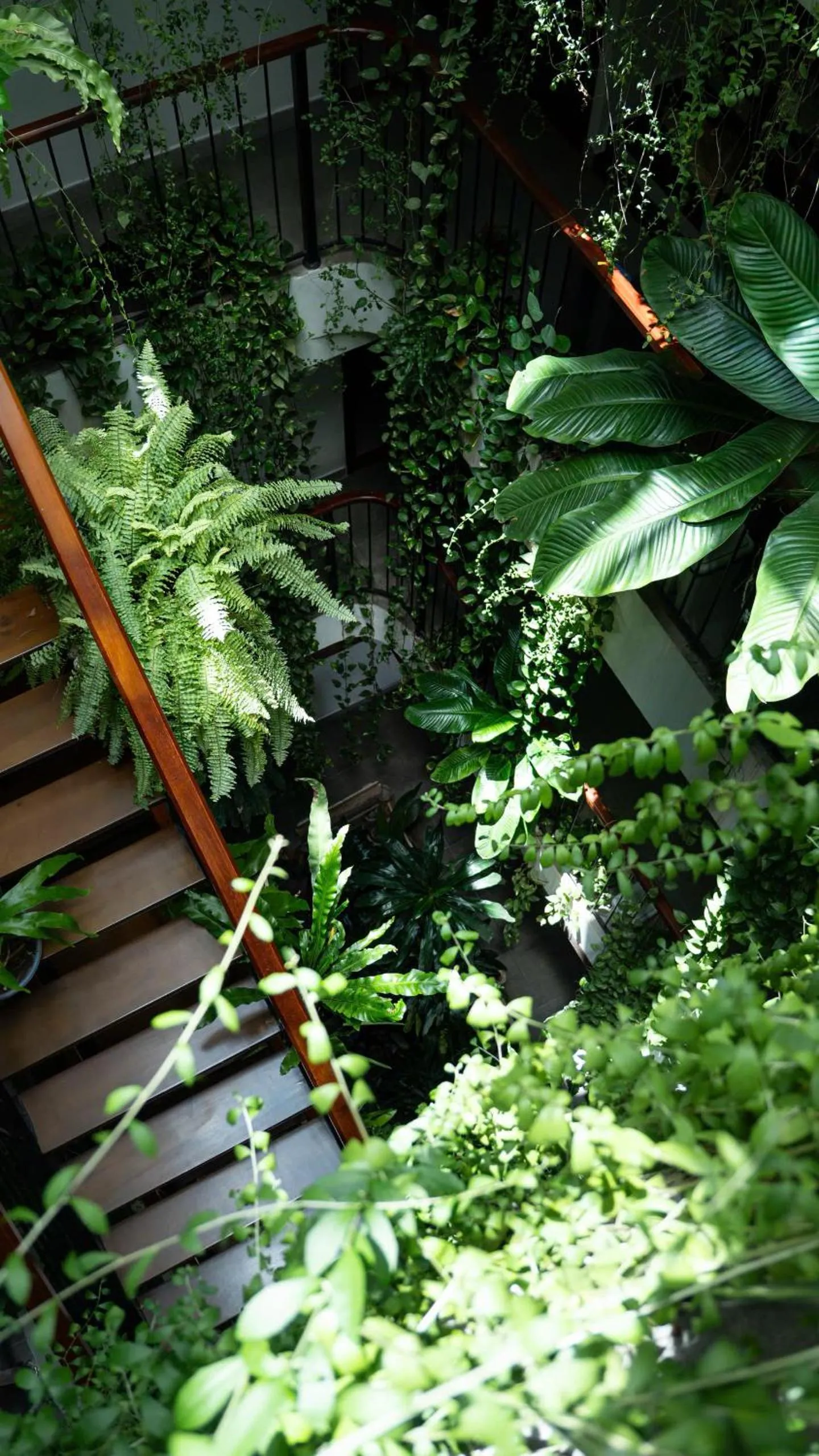 Property building in Nicobar Con Dao Hotel