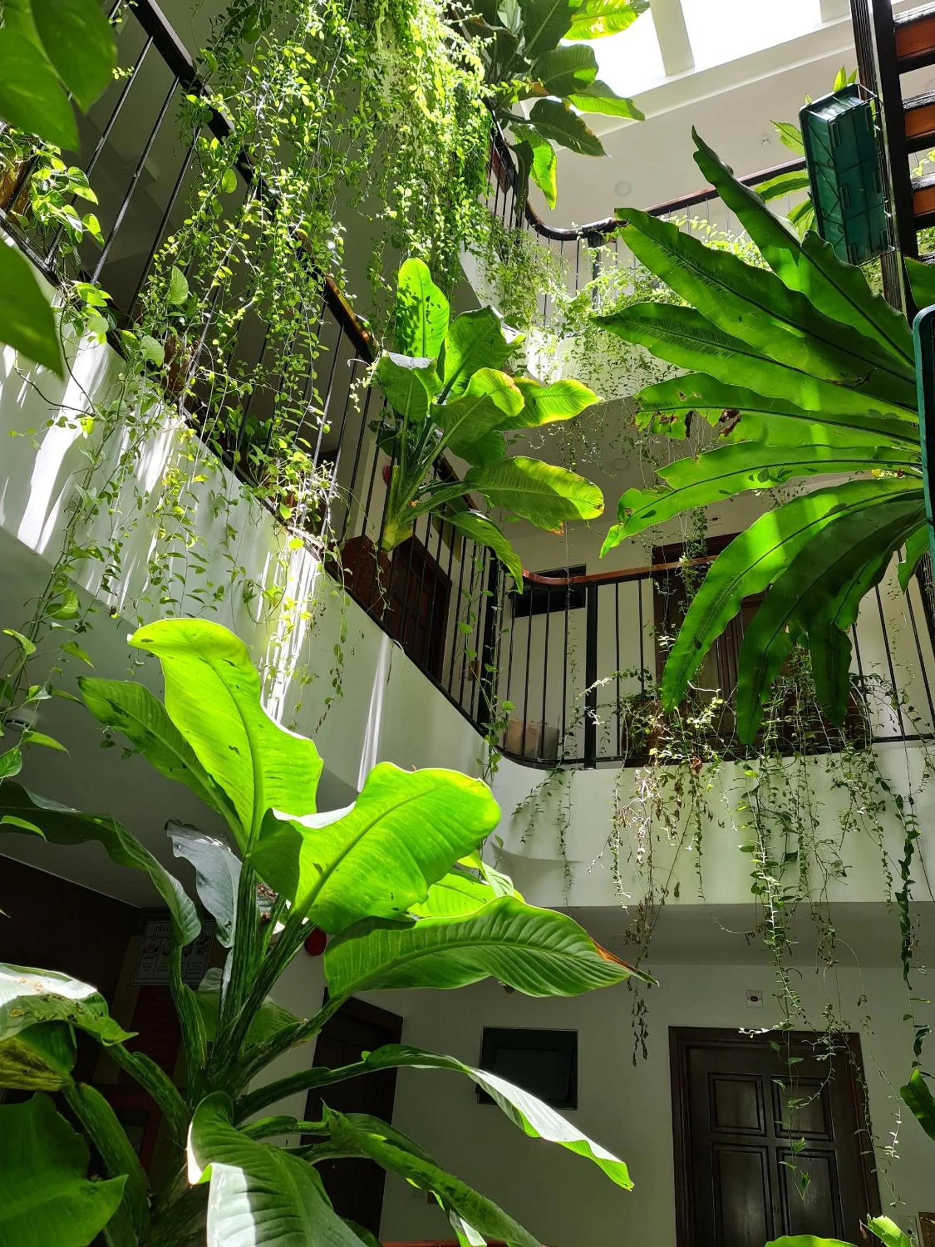 Patio in Nicobar Con Dao Hotel