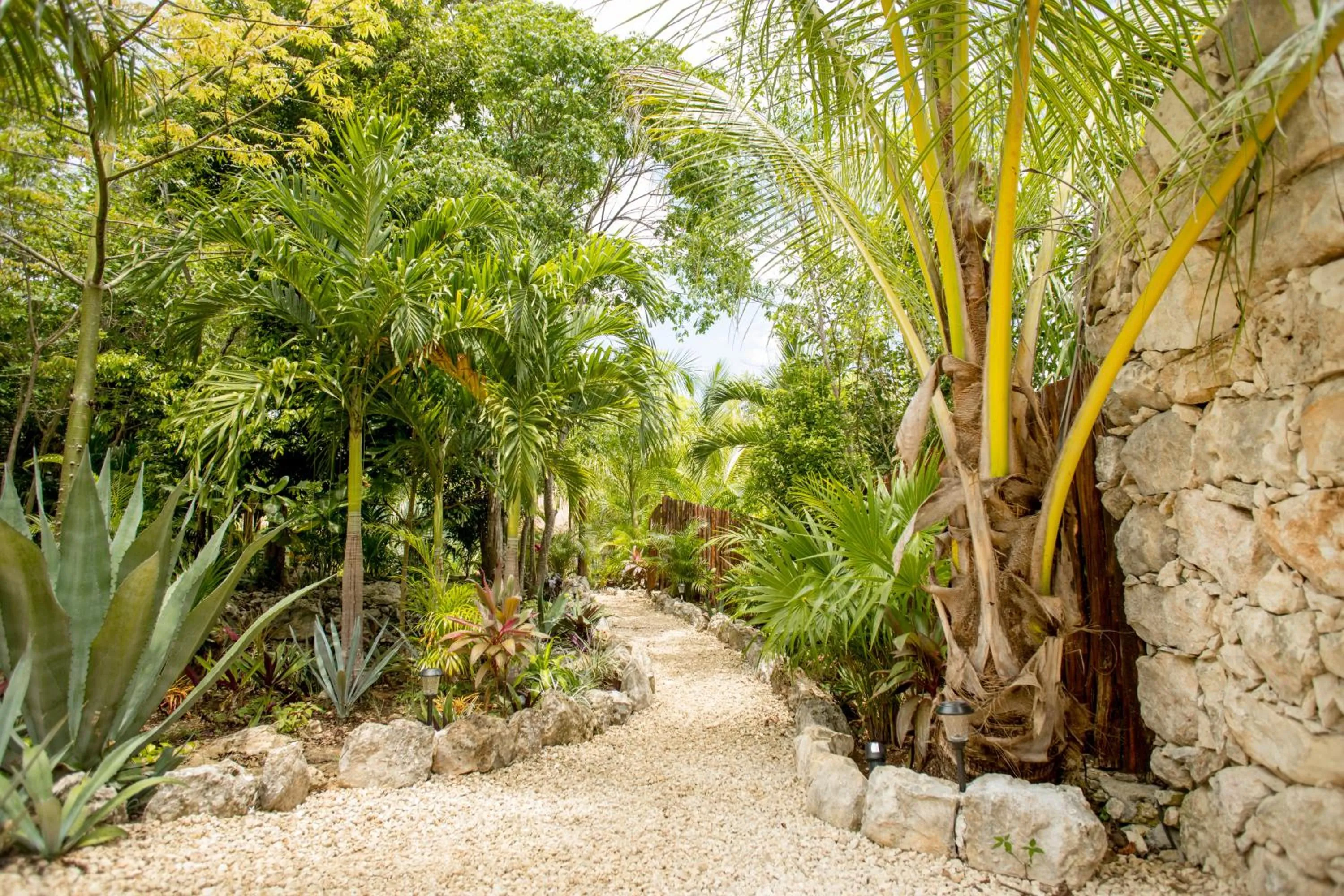 Spring in ALDEA JO-YAH