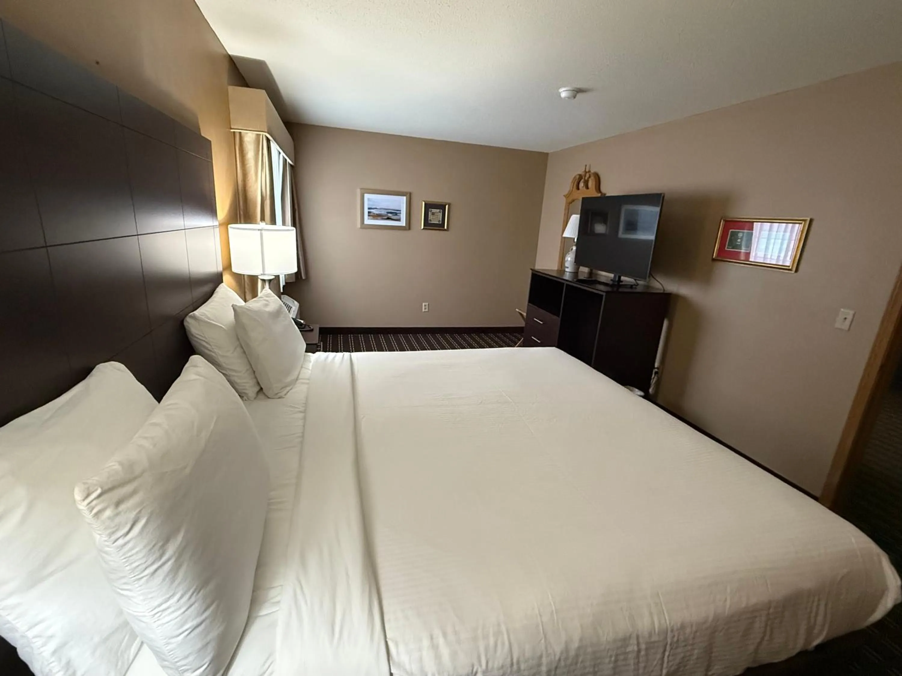 Bed in Best Western Dodgeville Inn & Suites