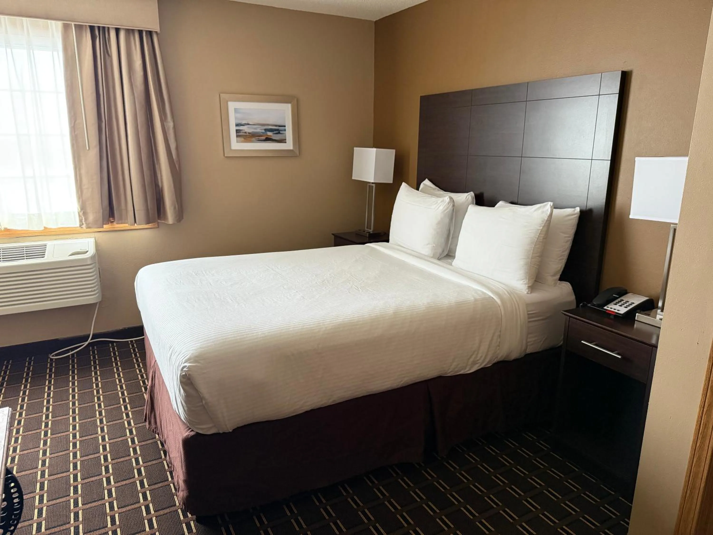 Bedroom, Bed in Best Western Dodgeville Inn & Suites